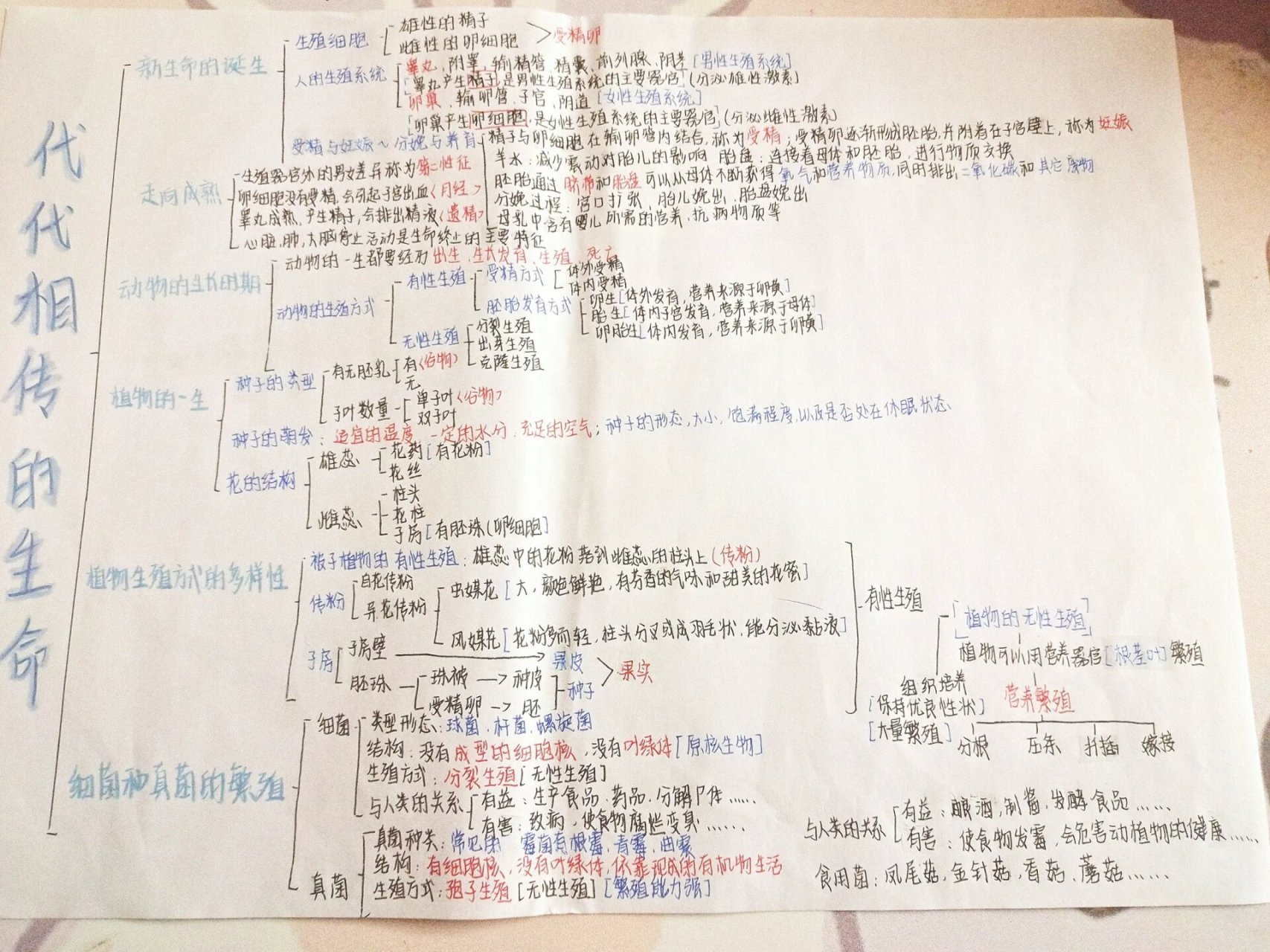 思维导图科学初一上册图片