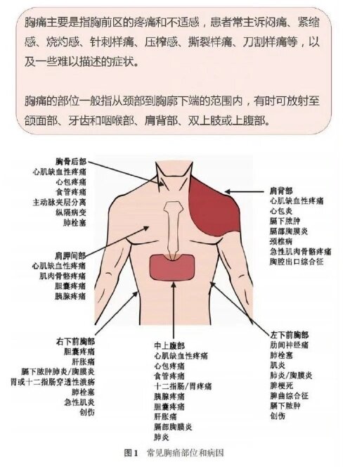 胸疼原因图片