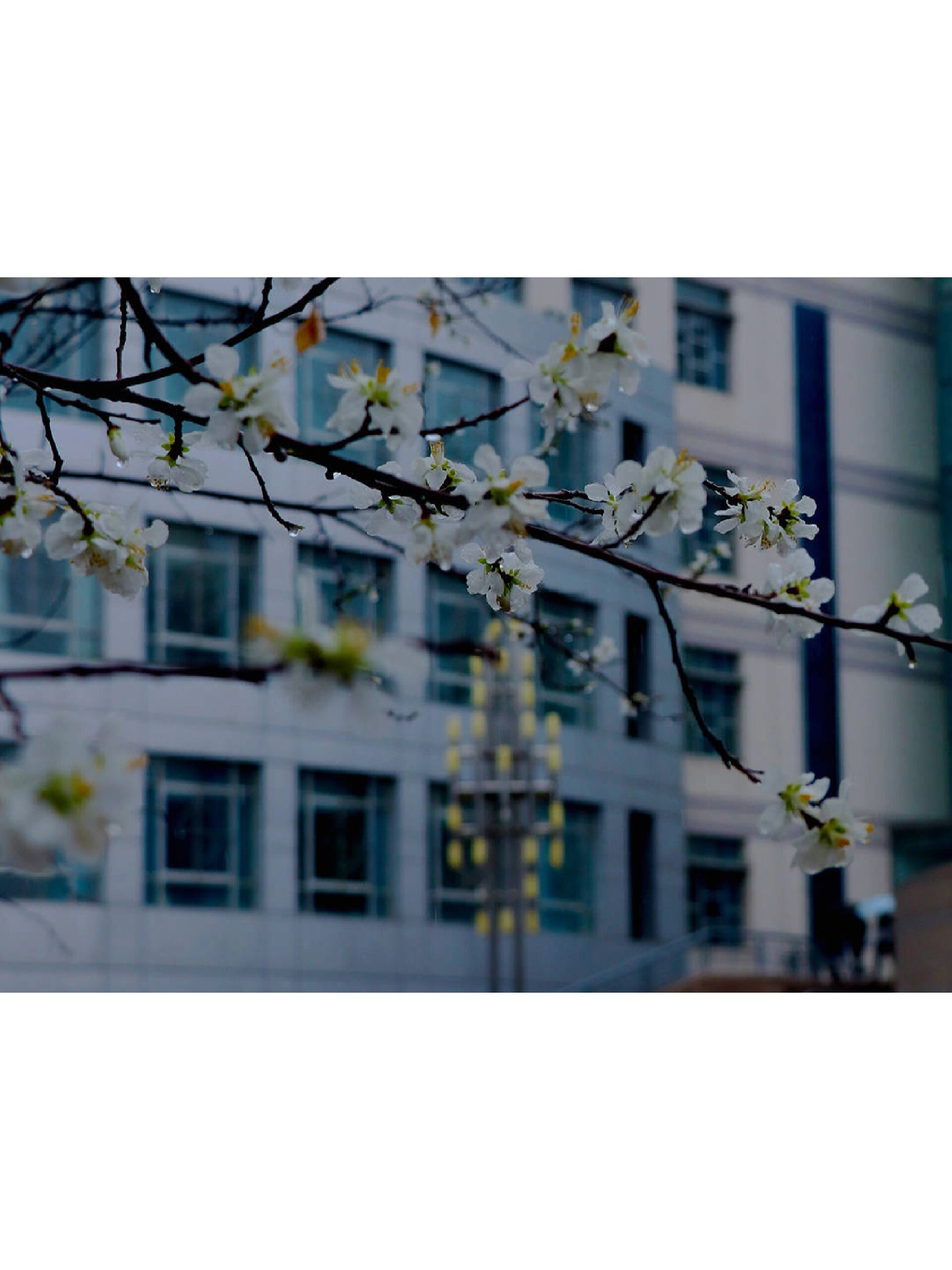 校园简介 | 内蒙古农业大学