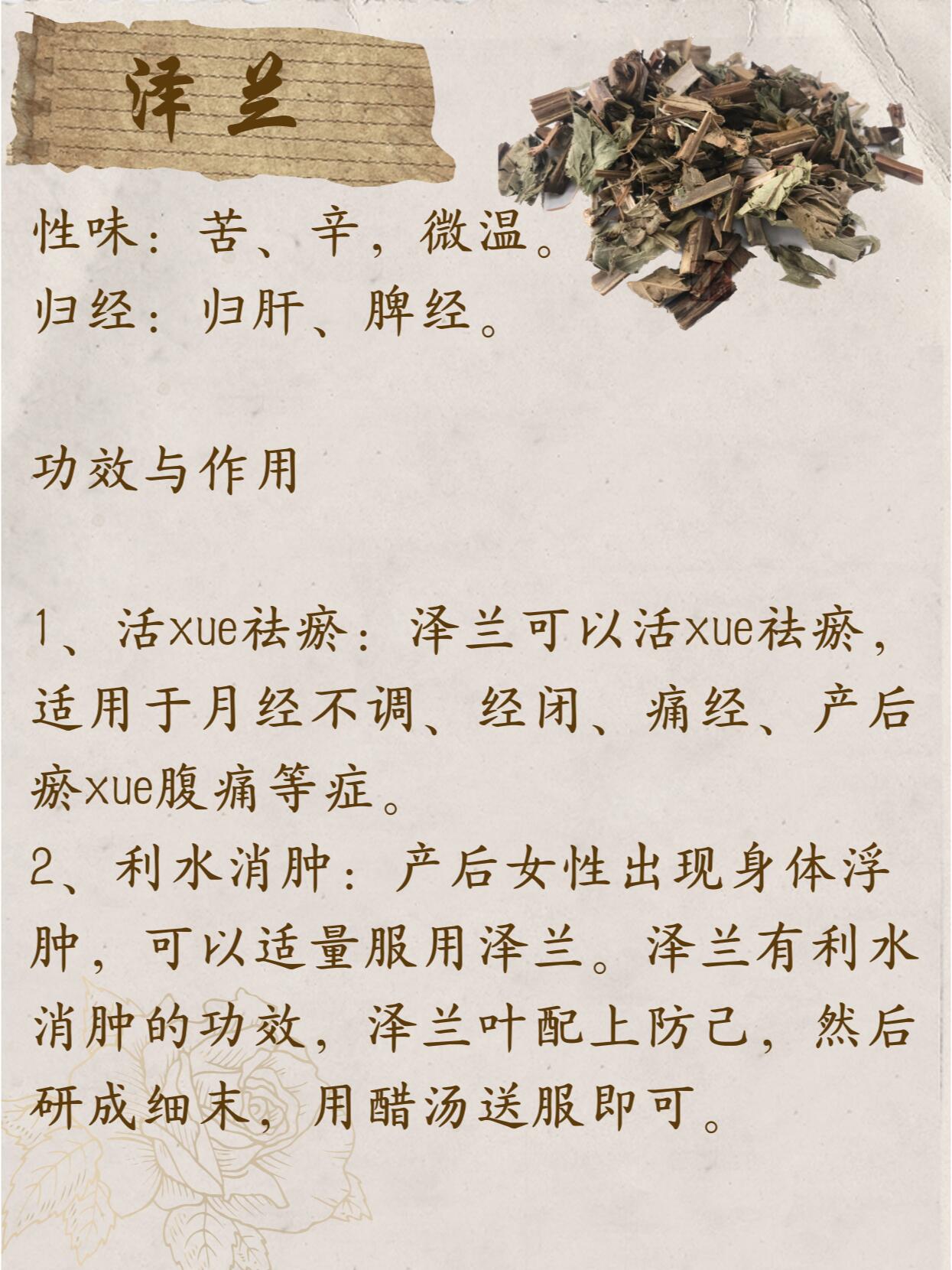 泽兰根的功效与作用图片