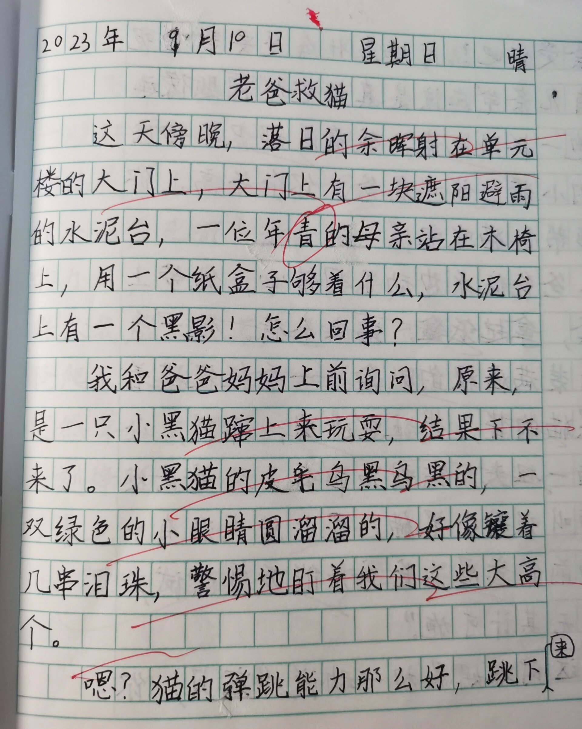 四年级的第一次周记