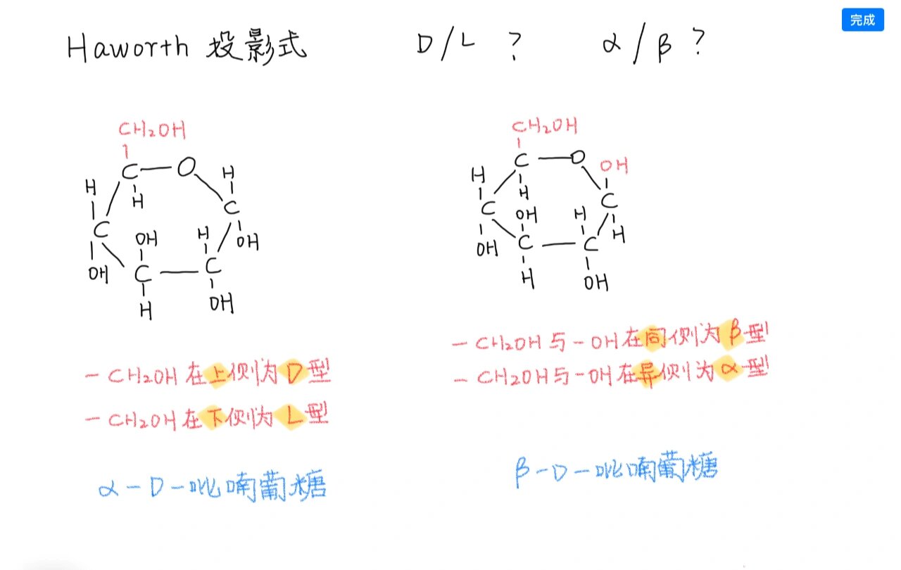 糖的d/l,α/β型的确定 fischer投影式 haworth投影式