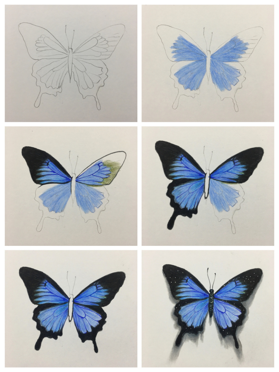 熟悉的颜色又上线咯 喜欢记得给小蝴蝶点个赞哟00