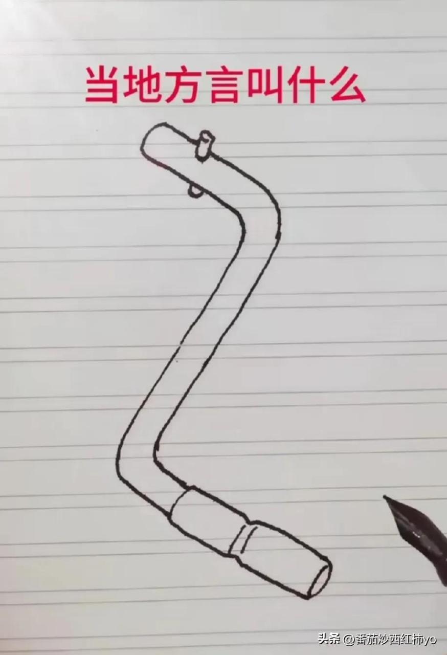 这个在我们当地是拖拉机的启动开关,方言叫做——摇把.