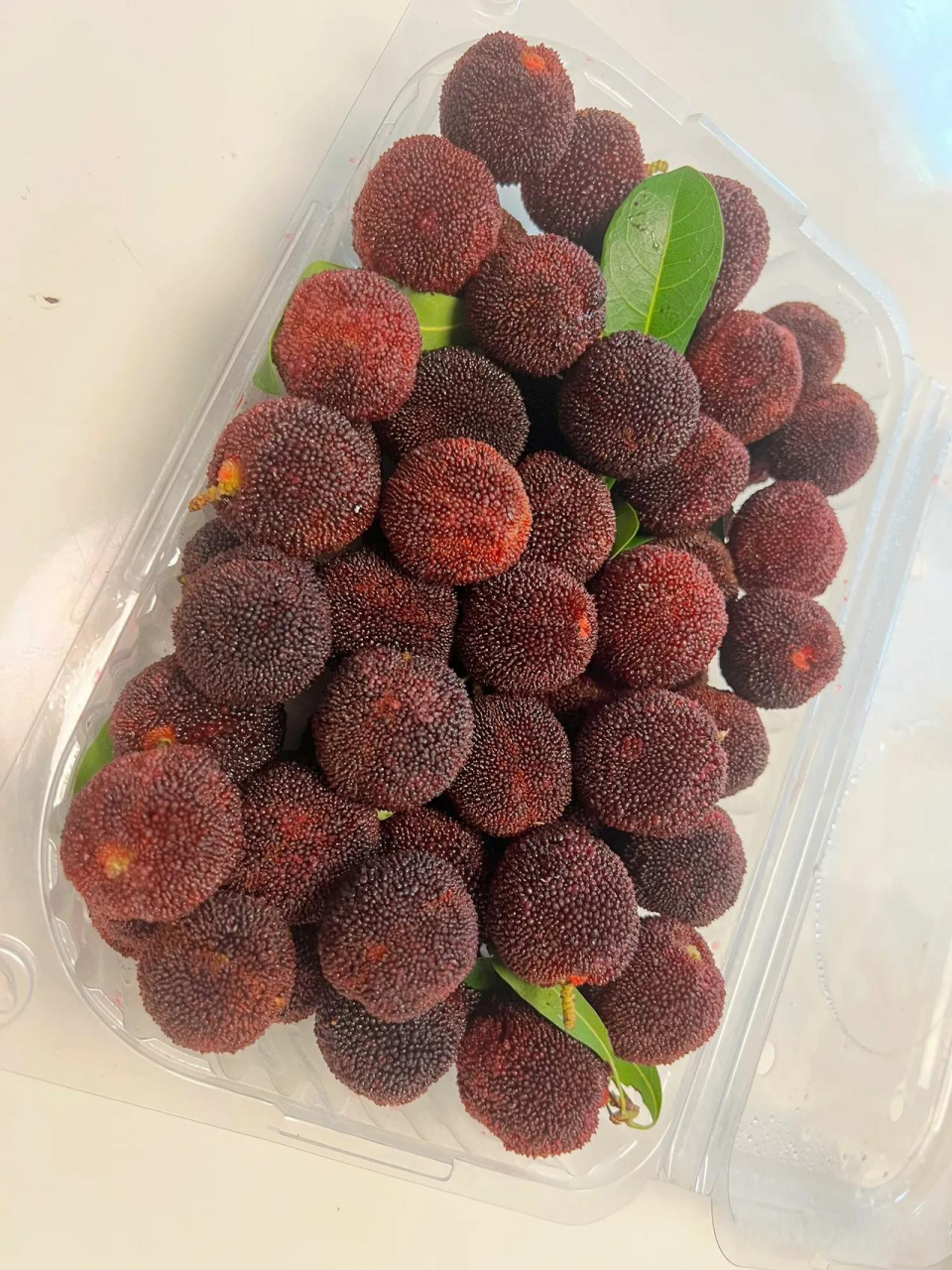 我家那些事 我是一个土生土长的温州人,从小就对茶山杨梅情有独钟.