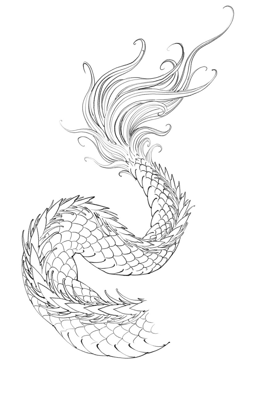 龙尾画法教学 有想学习的7715 #绘画教程# #一起学画画# #龙画法