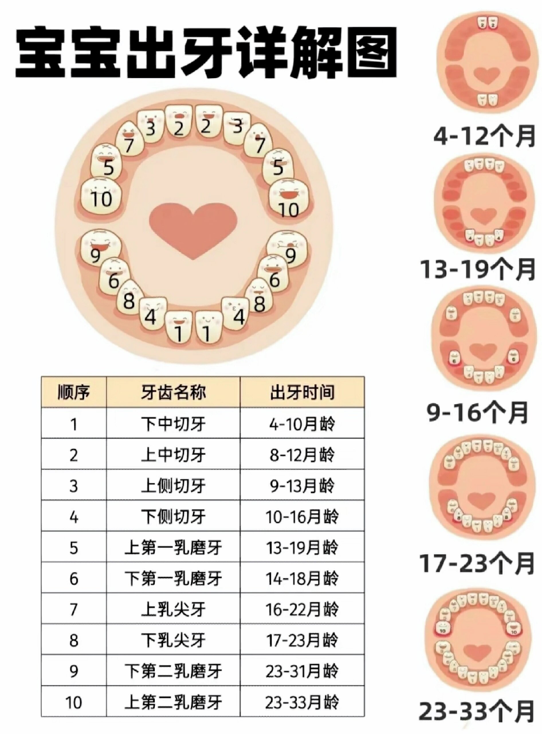 宝宝出牙时间顺序图