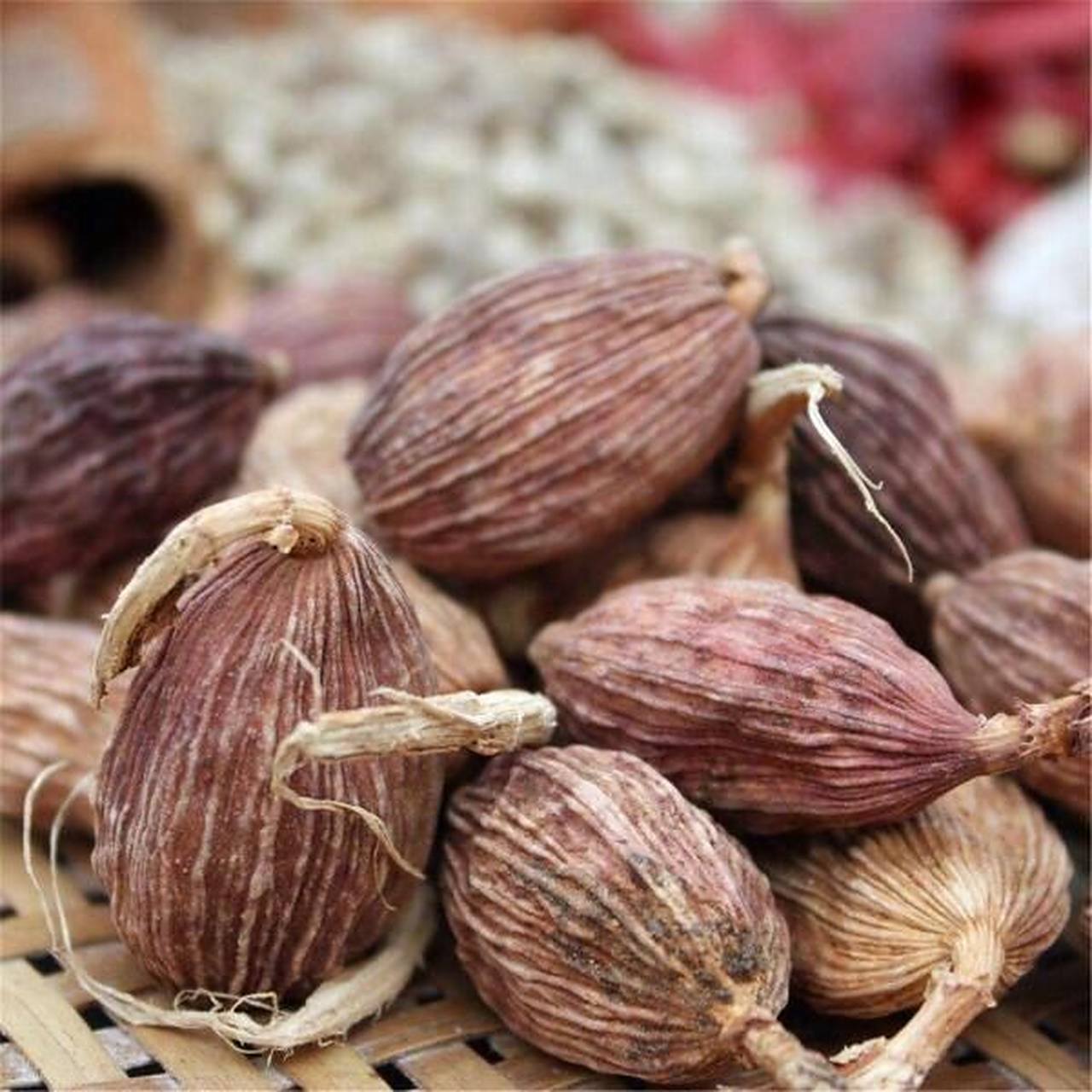 fructus tsaoko65别名:草果子,草果仁65药用部位:成熟果实65