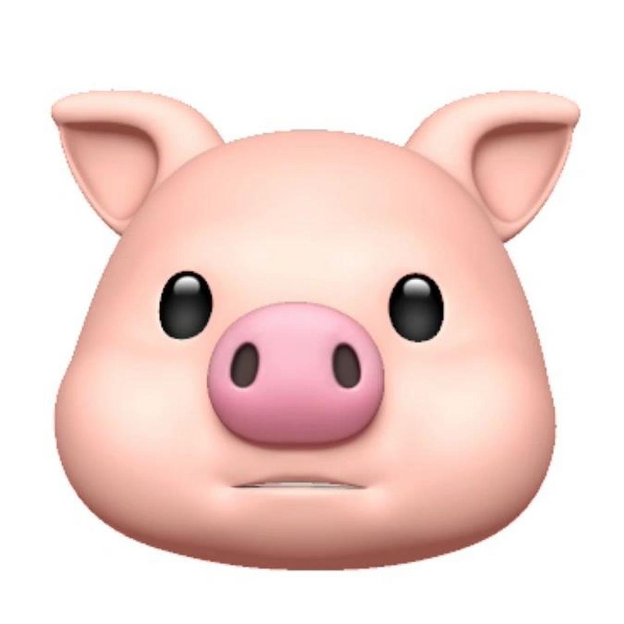 猪猪表情头像 自制猪猪头像 怪可爱的还! 马上微信安排上哈哈哈哈哈哈