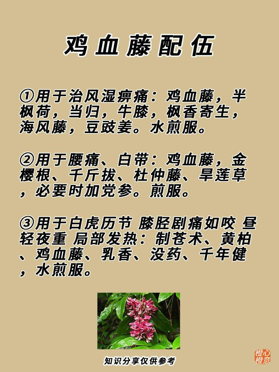 第37期•每天认识一味中药材——鸡血藤 【别名】血龙藤,九层风,血