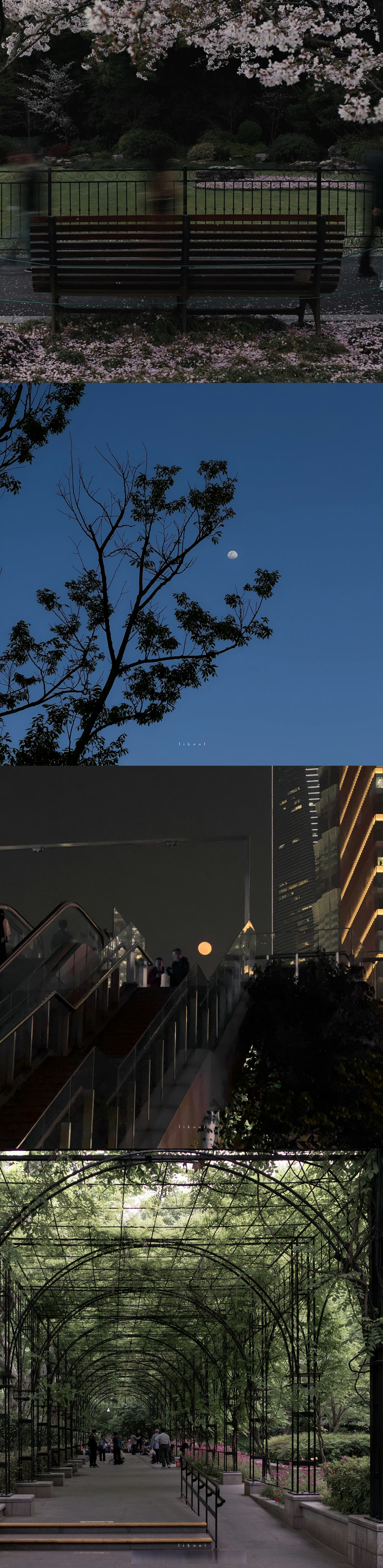 小油瓶分享# 于喧闹中觅一份宁静,静下心来去感知世界,与山水日月