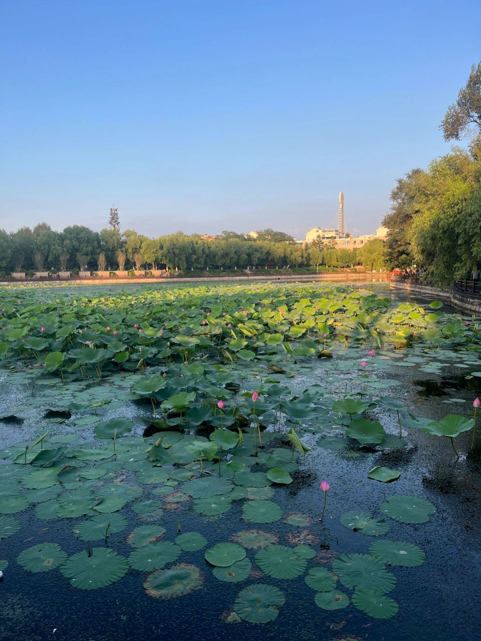 四平|top1绝美旅行公园【南湖公园】  四平不是一个旅游城市,可以出行