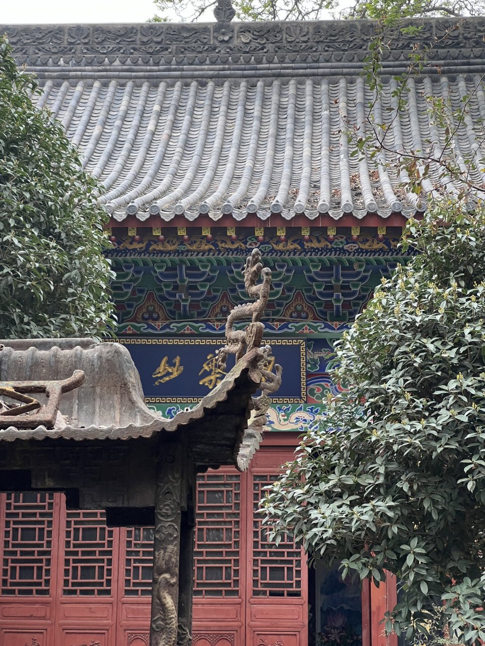 西安弥陀寺|公交可直达南山脚下的千年古刹 "白玉缀枝头,无绿也无愁.