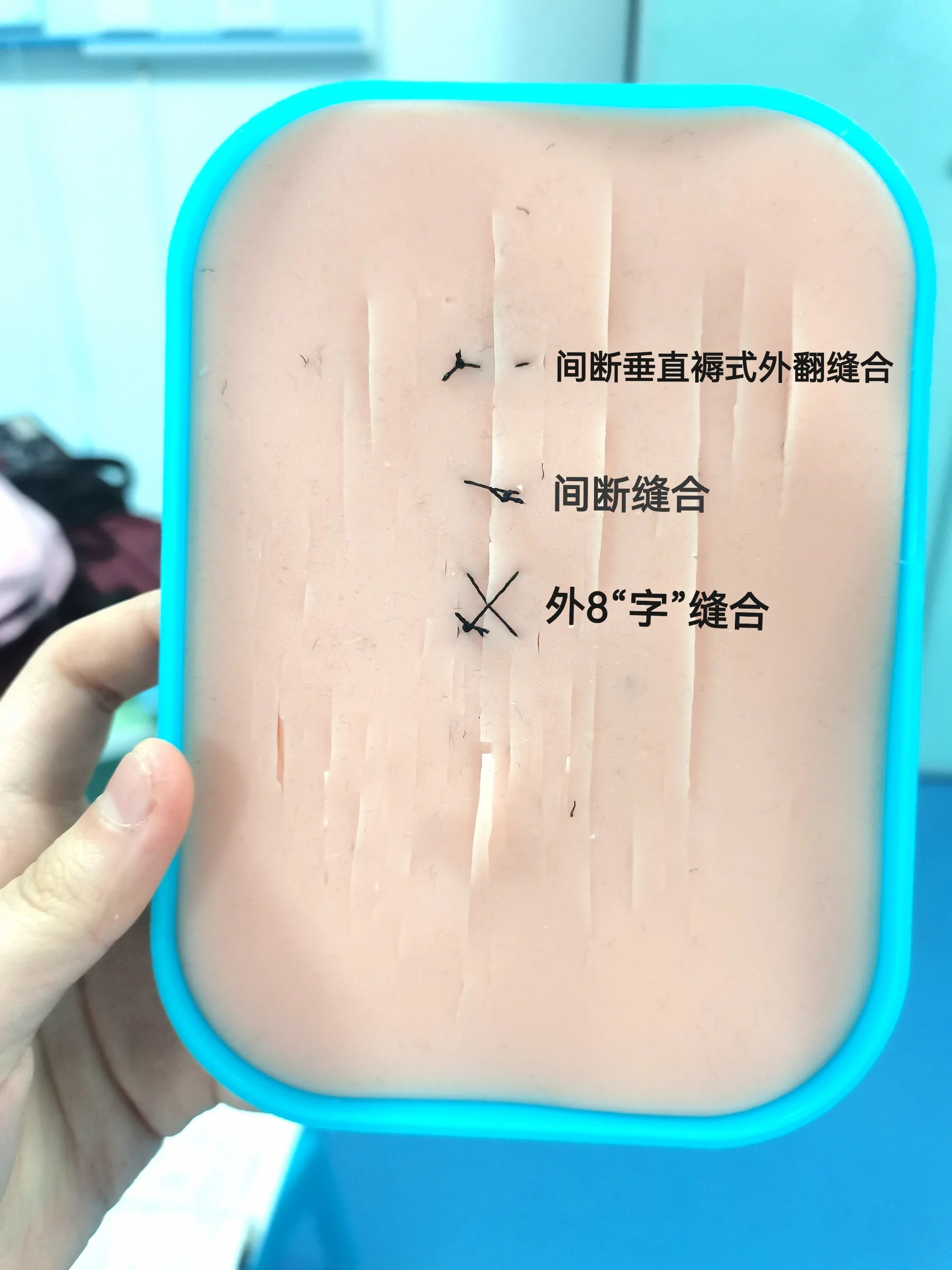 右手拿刀左手食指拇指在切口两边紧绷,刀刃与皮肤垂直切 肌肉:顺纤维
