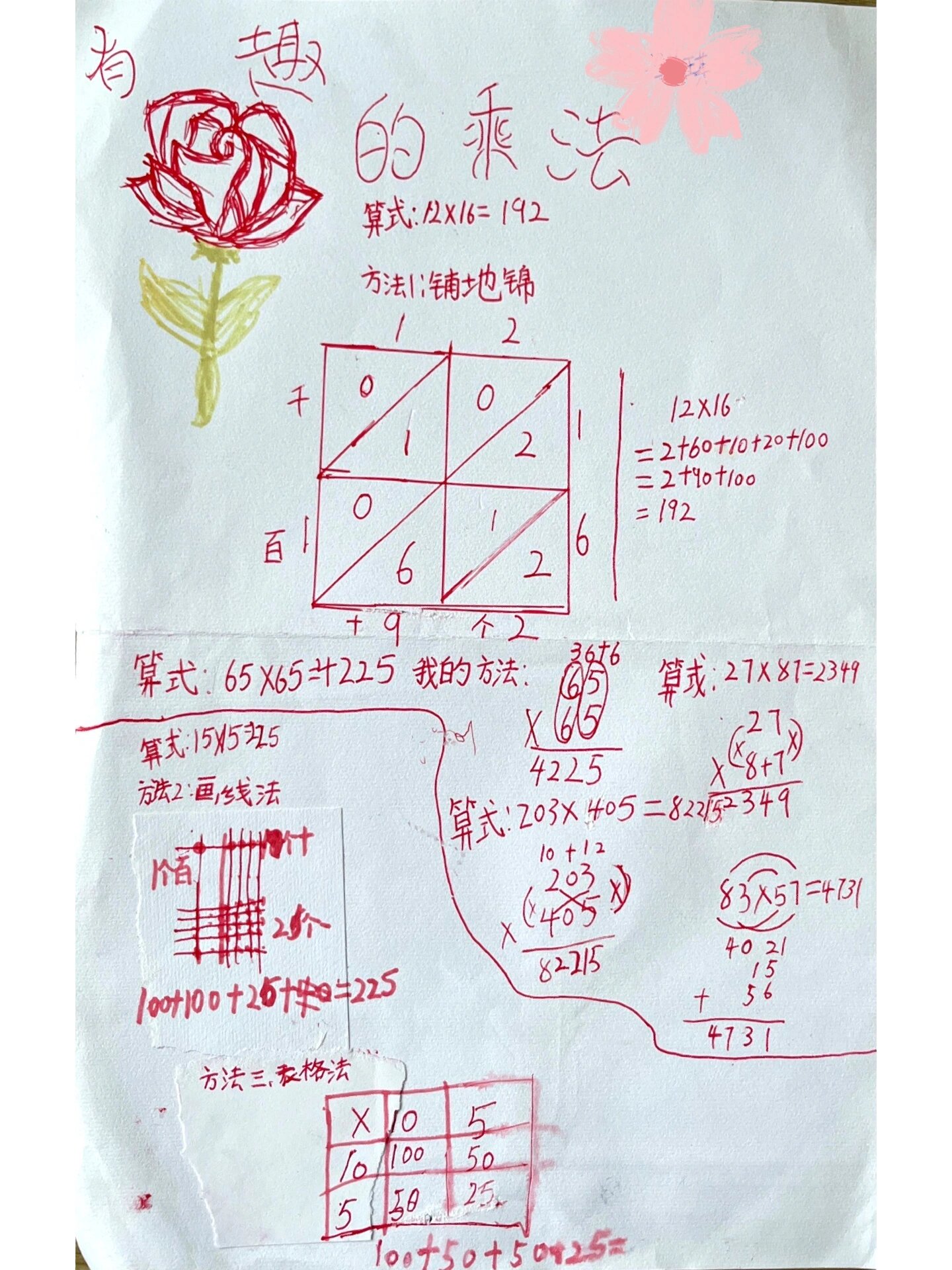 铺地锦手抄报图片