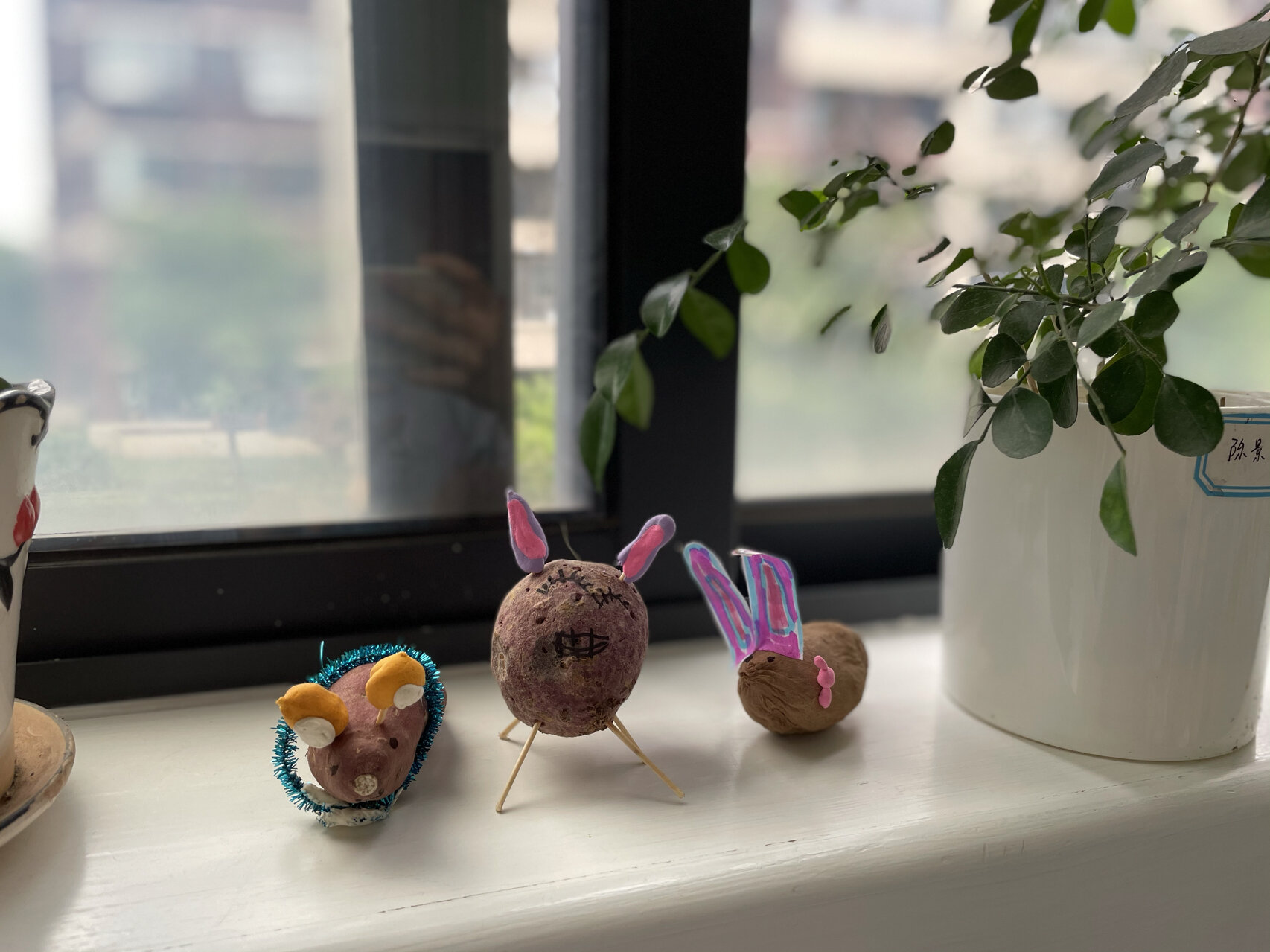 番薯大变身/番薯动物造型/番薯课程