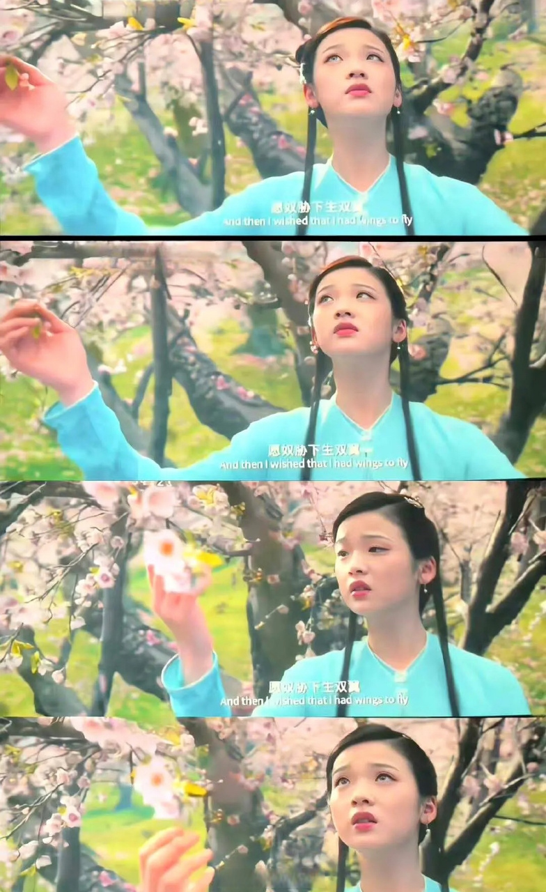 原来电影版红楼梦的林黛玉是张淼怡,她跟周翊然挺配的,都是古装黑洞