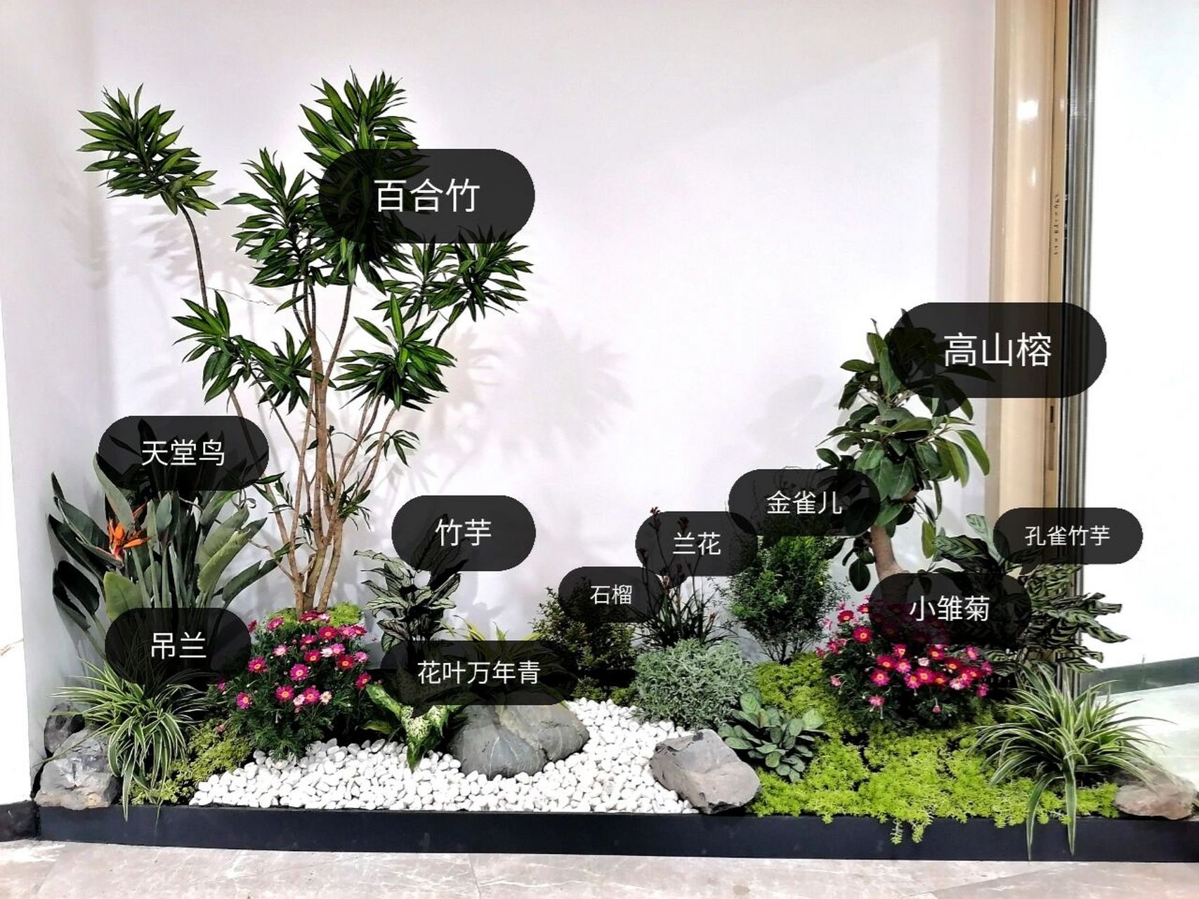 植物造景垂直空间图片