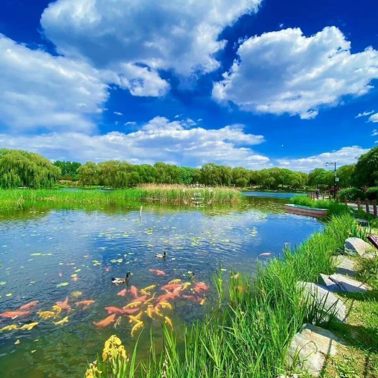 风景图头像解读 事业运不错,桃花缘也不错.情感这块会有点坎坷.