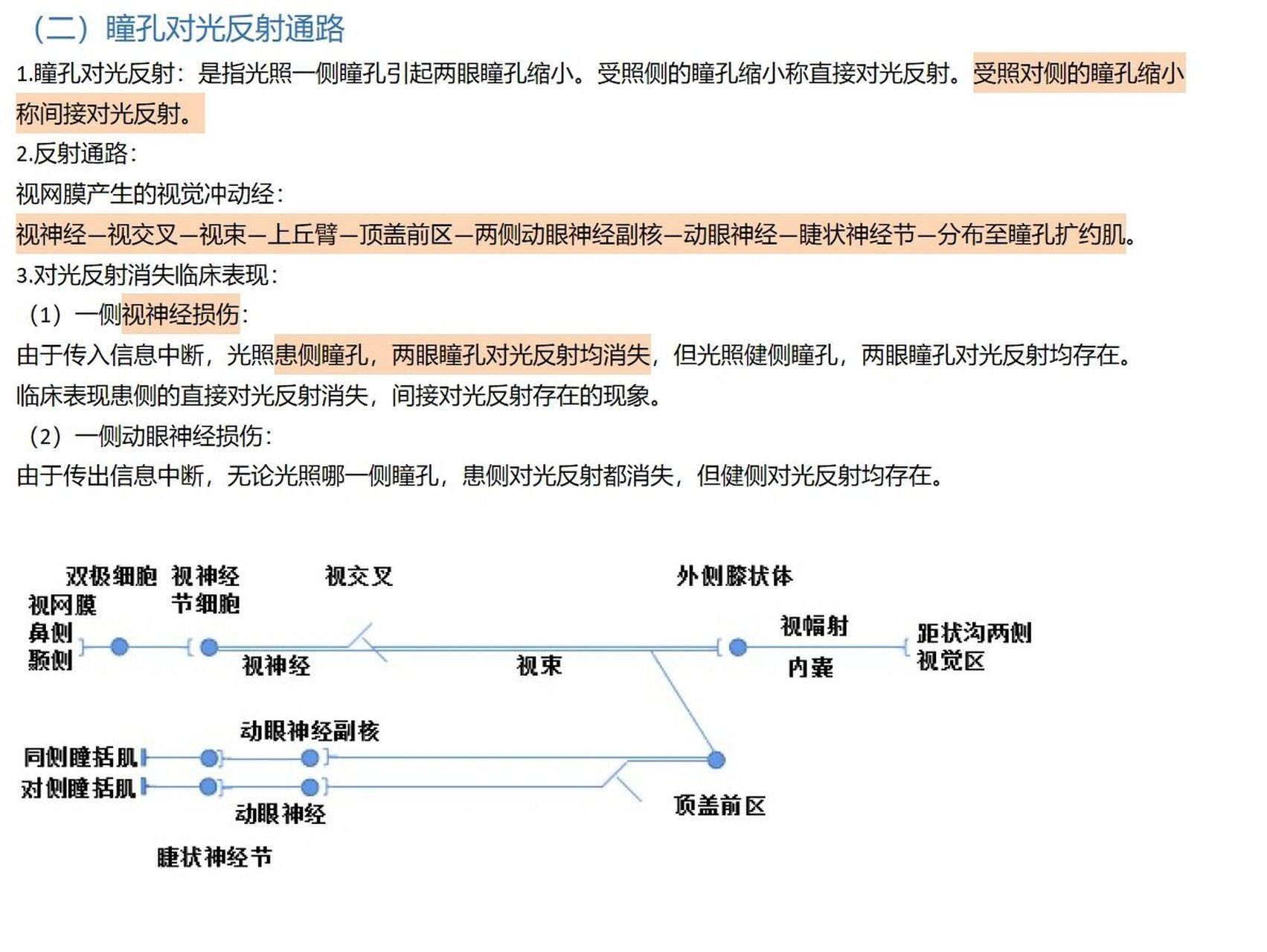 浅感觉传导通路图片