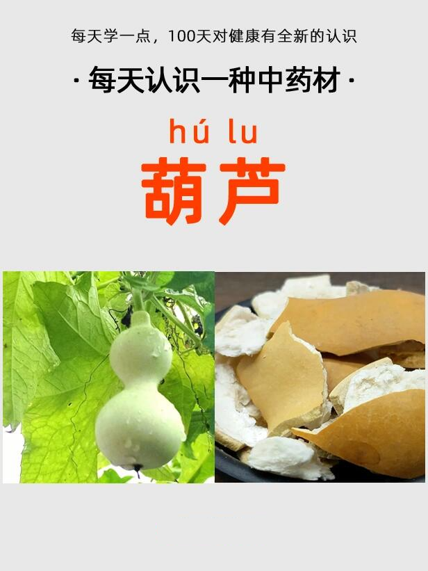本品为葫芦科植物葫芦的干燥种子.立冬前后摘下果实,取出种子,晒干.