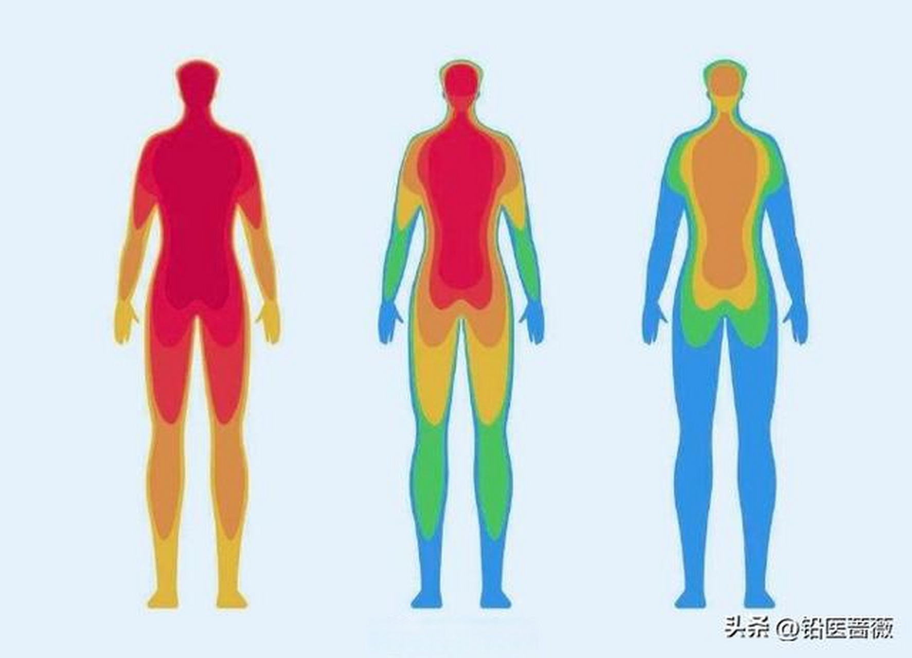 人体进化出多种散热机制,主要有辐射,传导,对流和蒸发四种散热形式.
