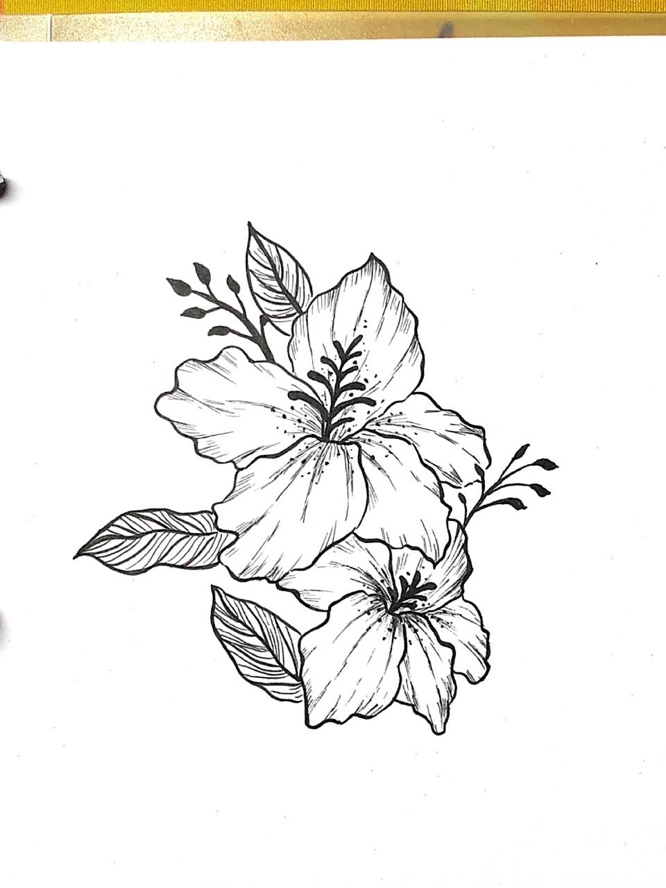 扶桑花(含步骤) 扶桑花 96即朱槿 "朝霞映日殊未妍,珊瑚照水定非鲜.