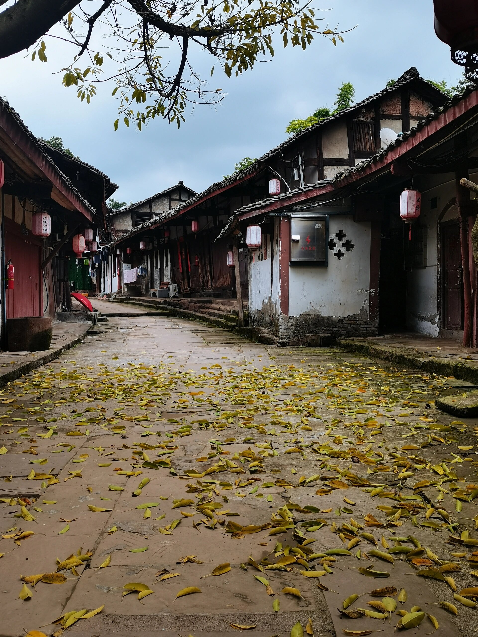 南充|蓬安周子古镇|古色古香