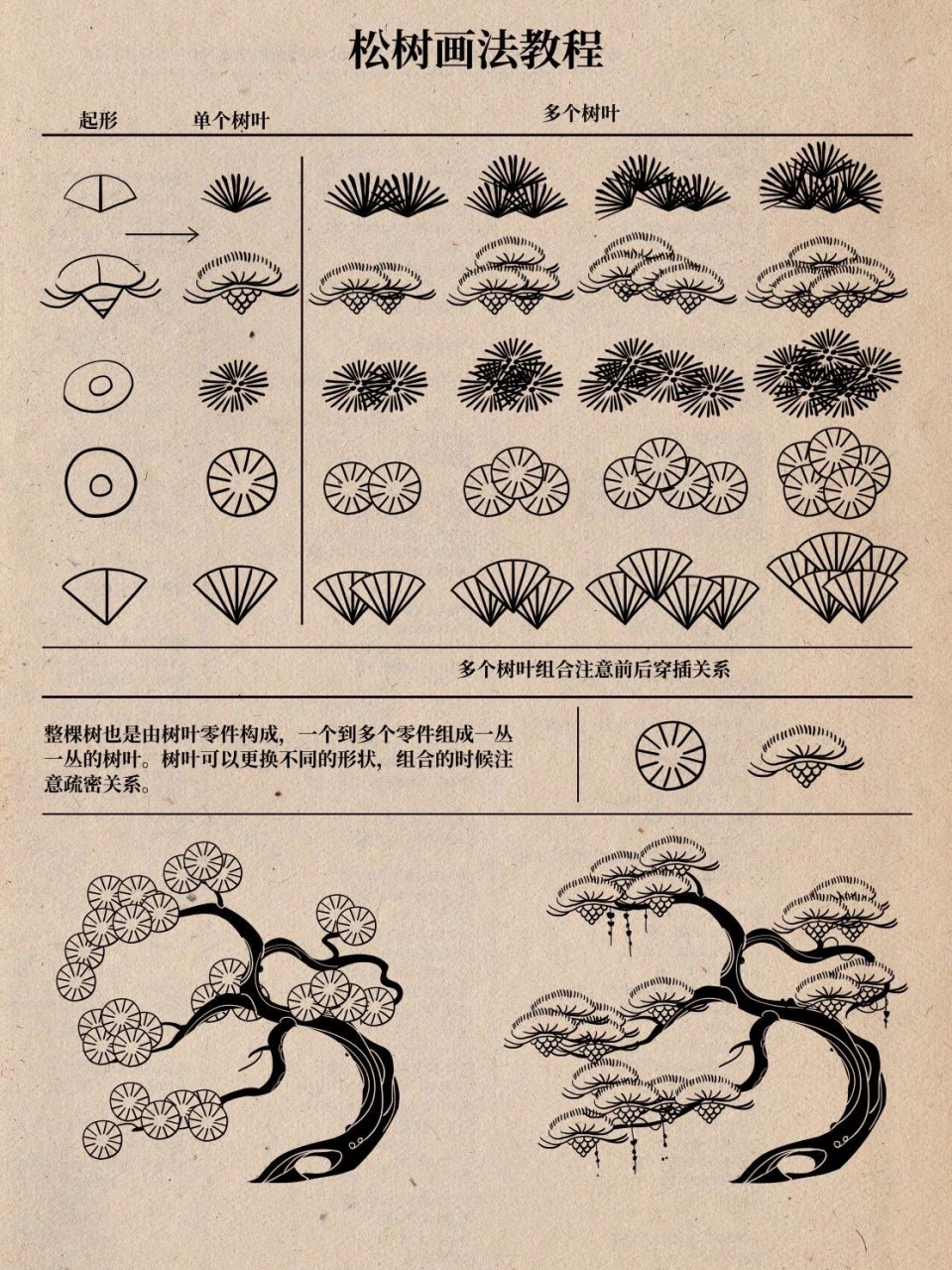 松树画法教程 之前画松树找资料的时候看到一些文物书籍上松树不同的