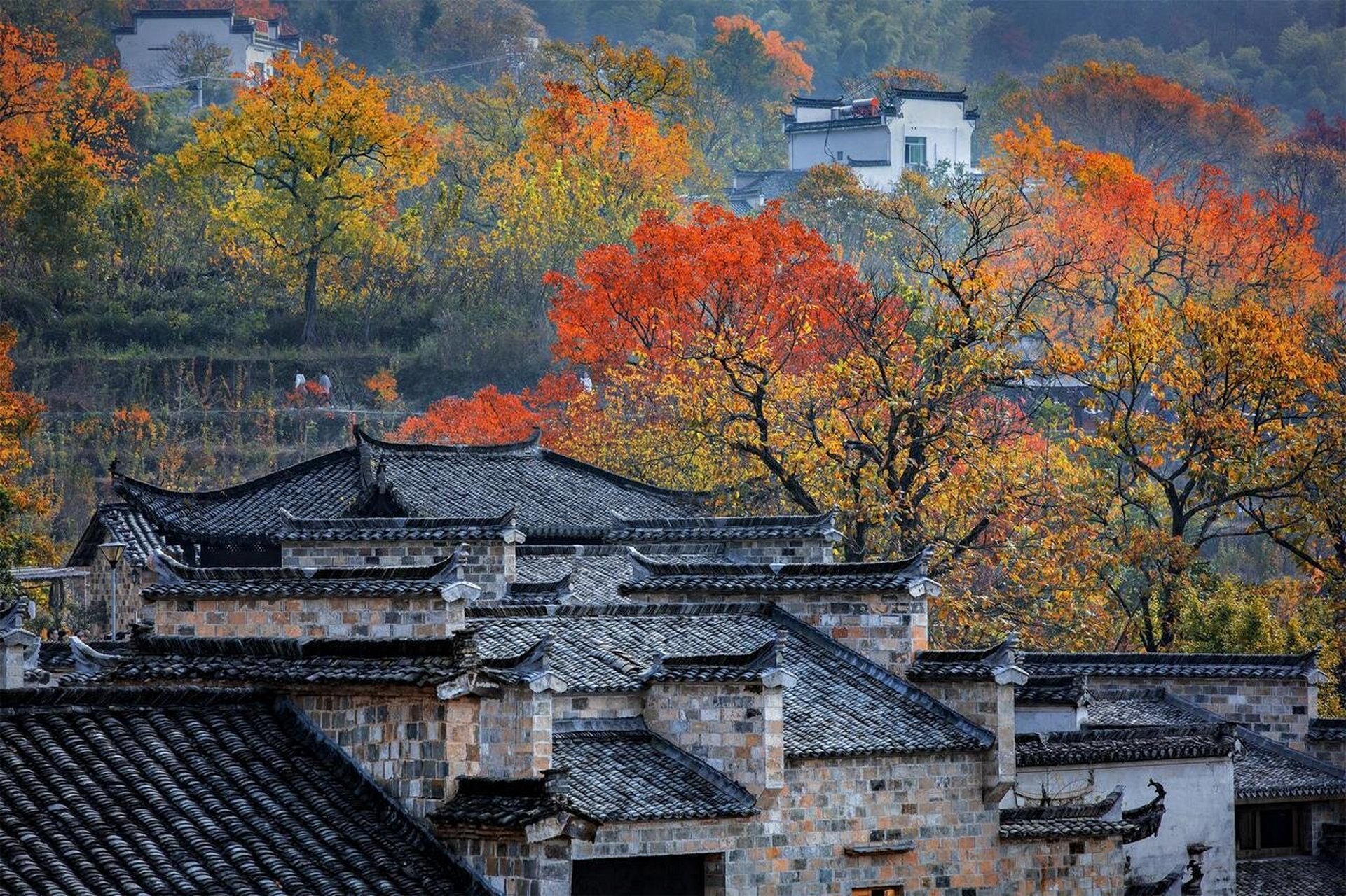 安徽塔川景区图片