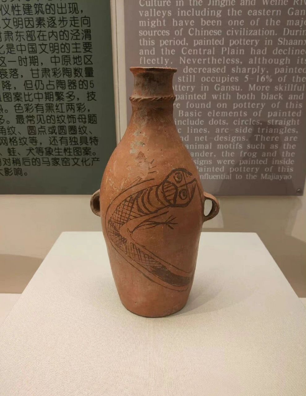 天水市甘谷县 71详细介绍:这是一件收藏在"甘肃省博物馆"三楼彩陶馆