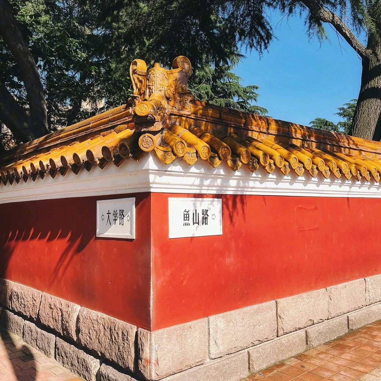 青岛网红墙|百年风雨中赋予时光印记 一直都觉得 大学路很文艺 一路上