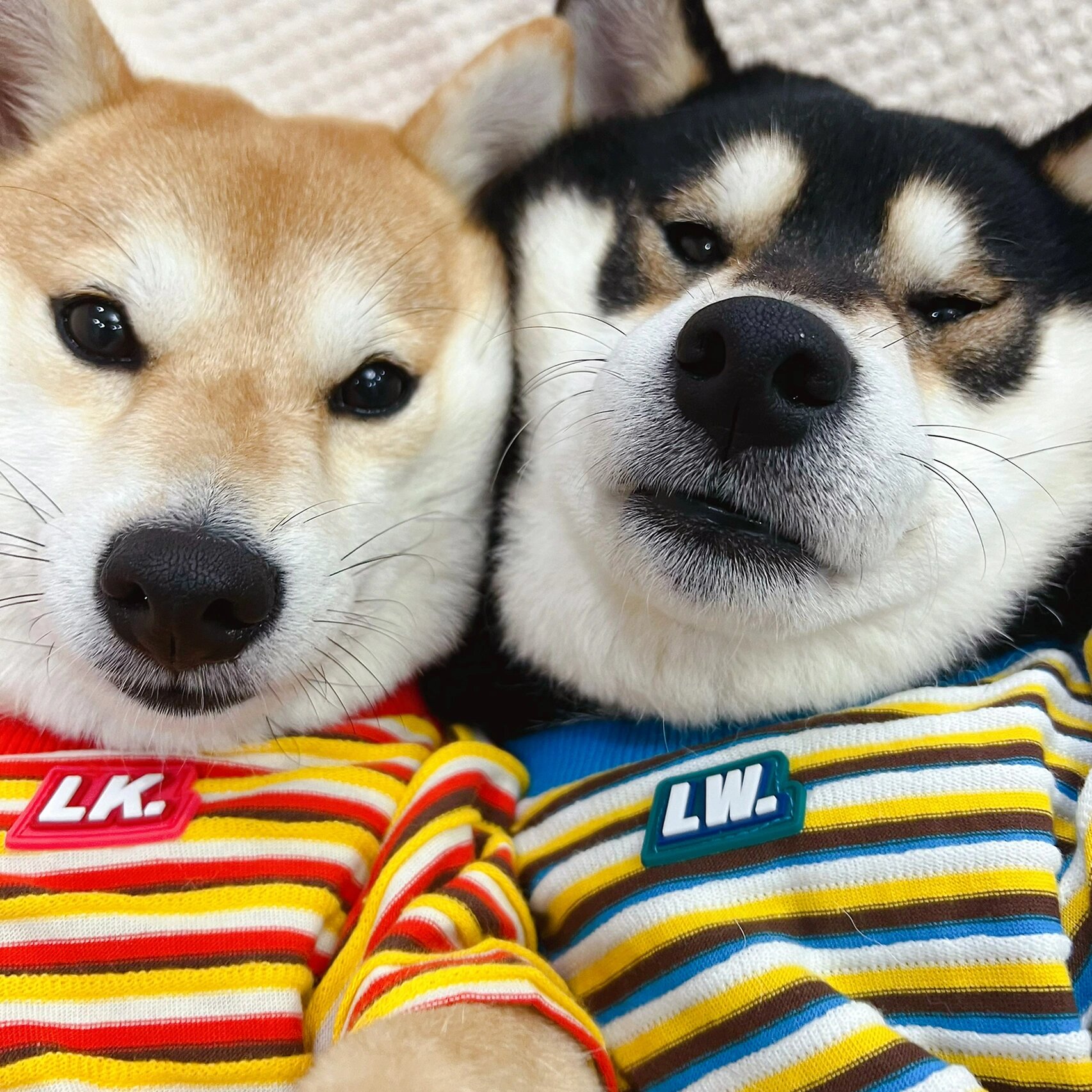 你爱我 我爱你 情侣头像甜蜜蜜