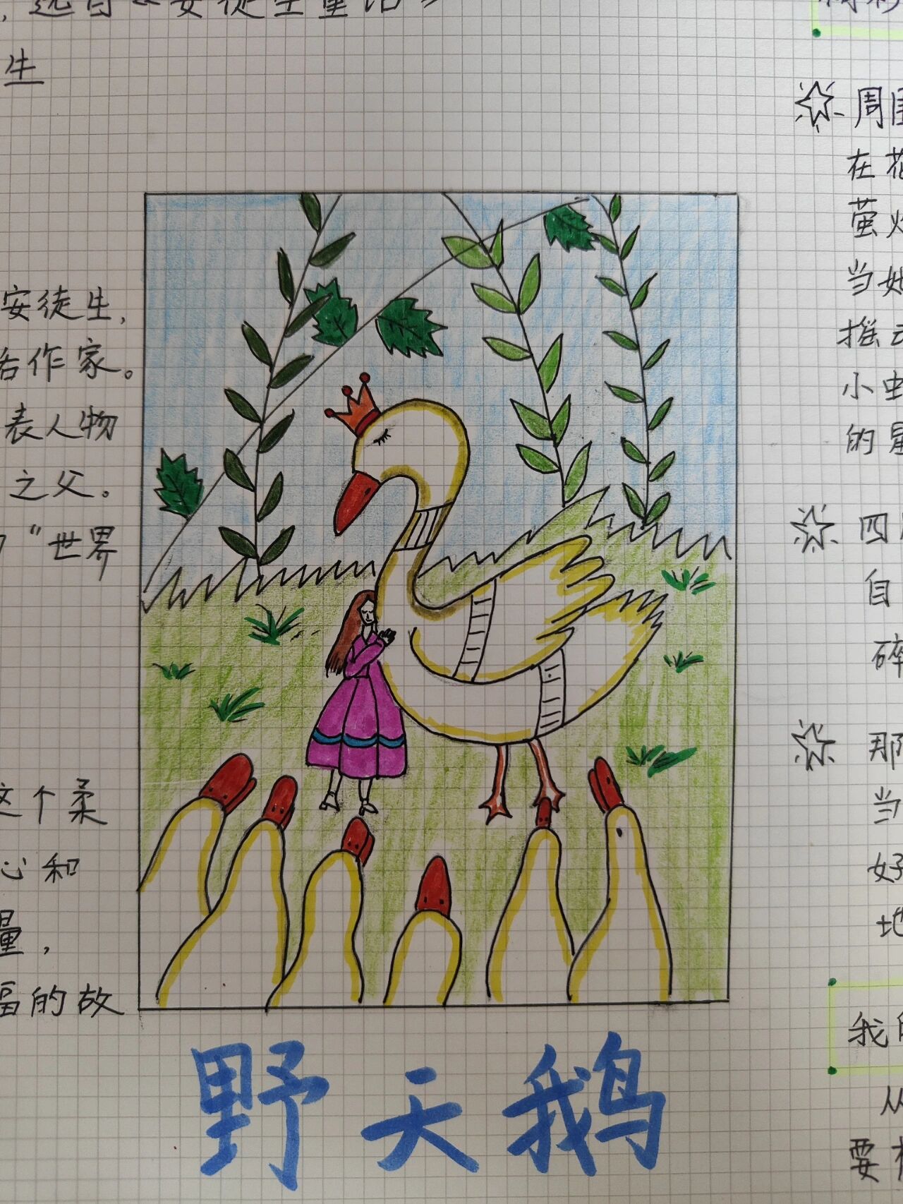 《野天鹅》读书笔记思维导图