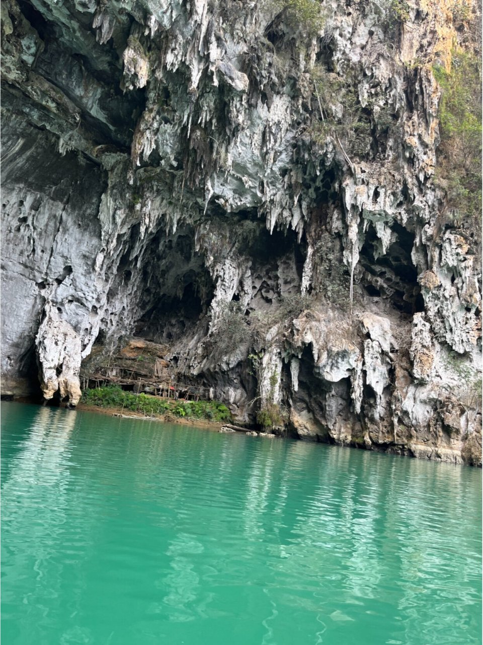 巴马百鸟岩景区图片