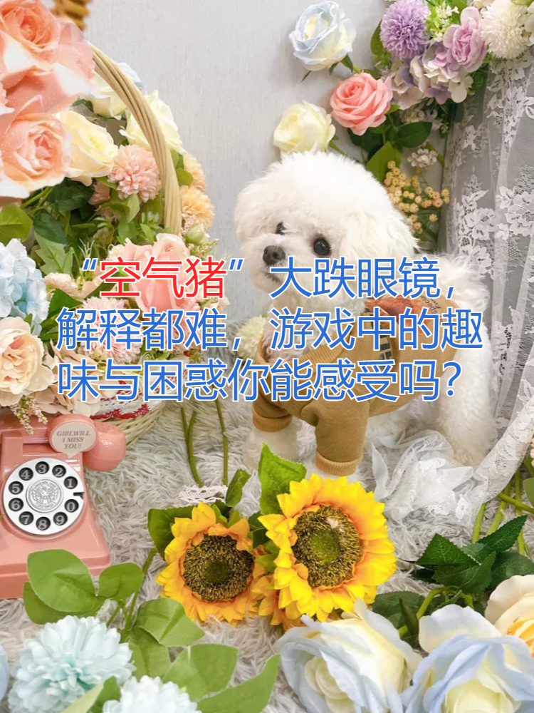 比较好玩的卧底词搞笑(比较好玩的卧底词搞笑拉屎)