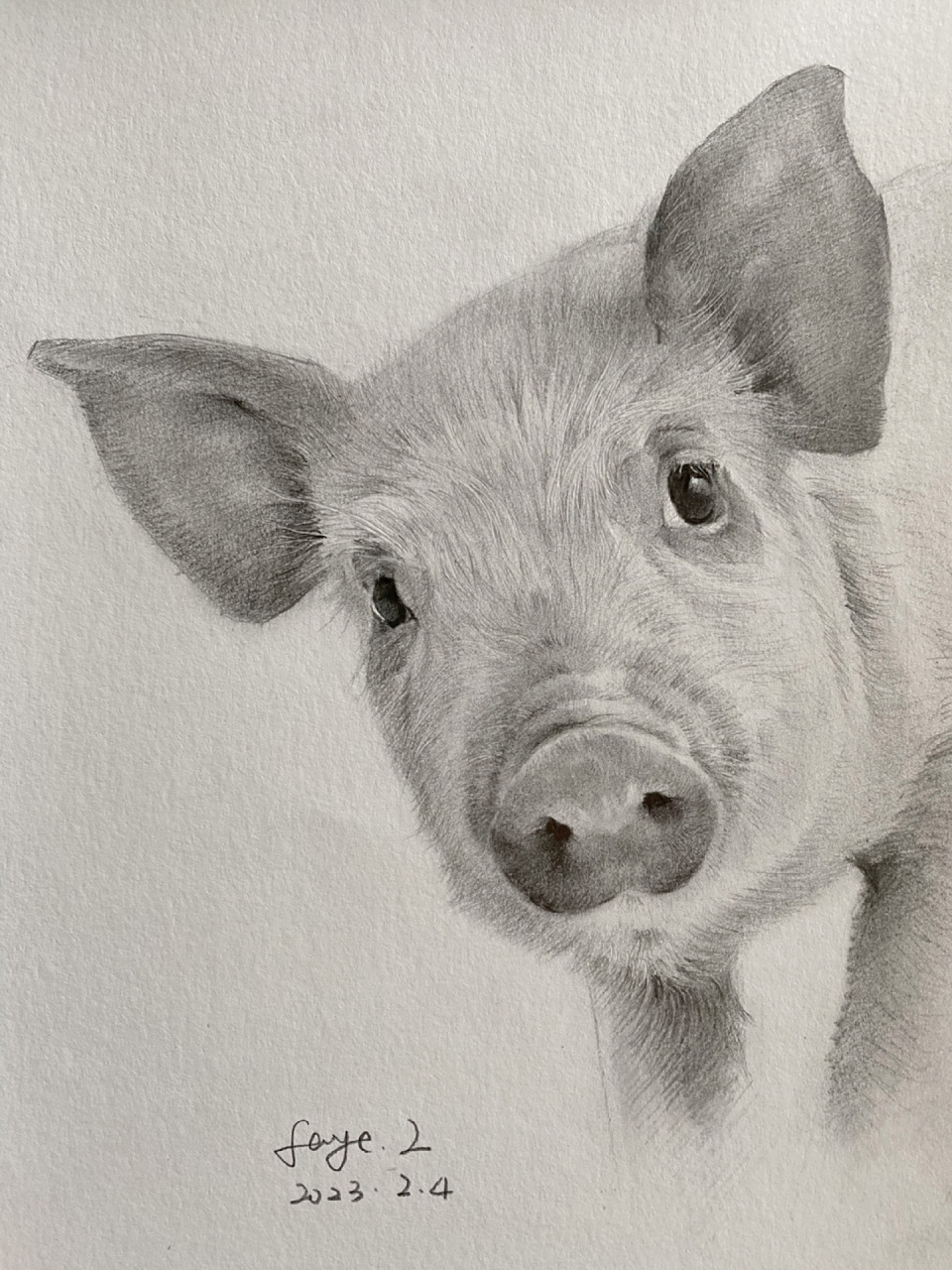 动物素描-小猪 及一些绘画步骤 最近无心画画 工具:铅笔 压痕笔 素描