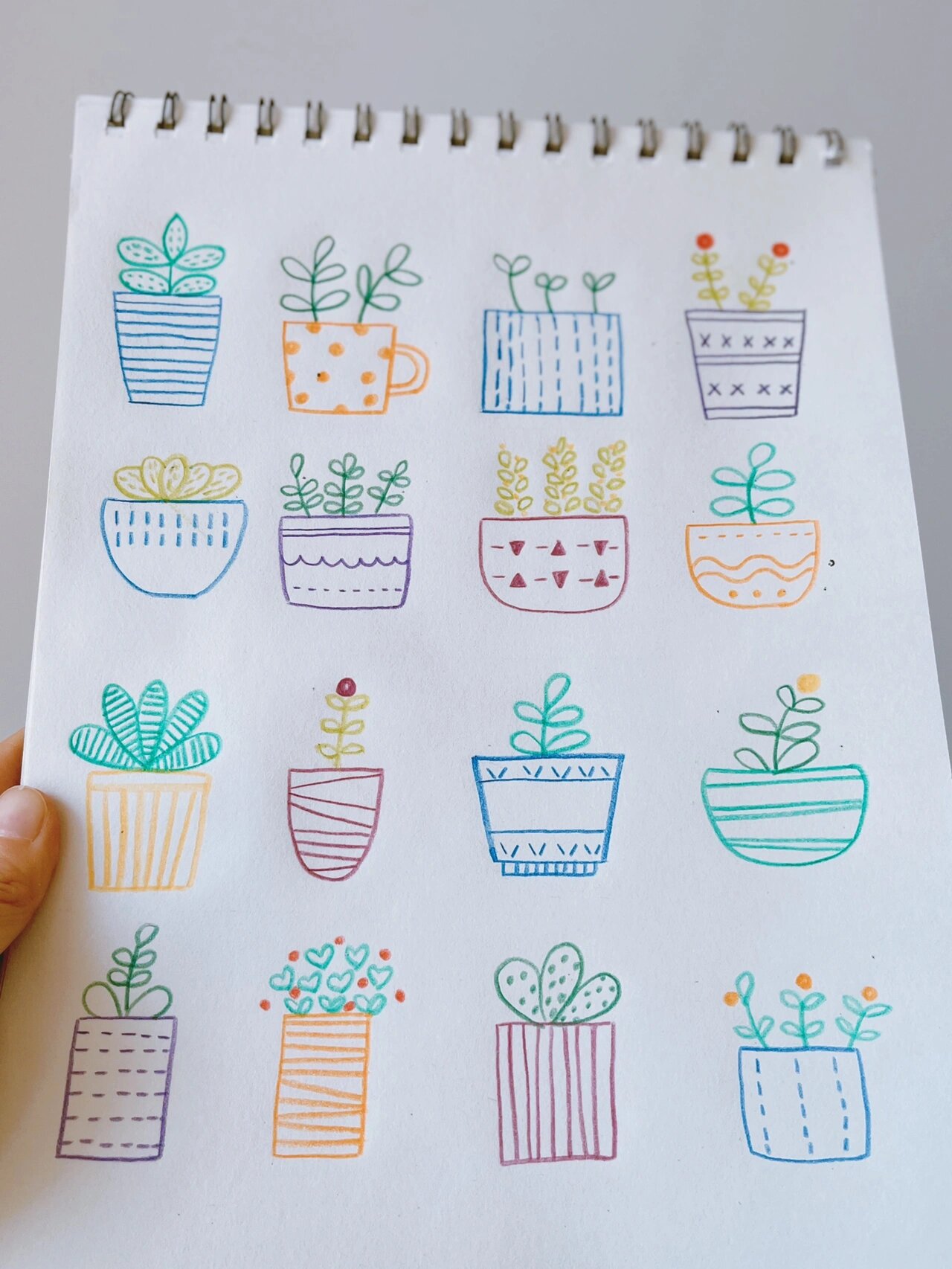 53 | 100简笔画| 临摹盆栽彩铅简单植物素材