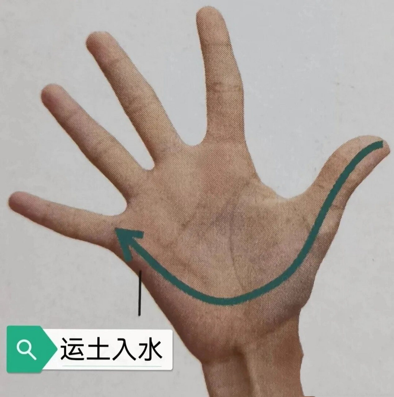 小儿推拿常用穴位 | 运水(土)入土(水) 运水入土 部位:手掌面,自小
