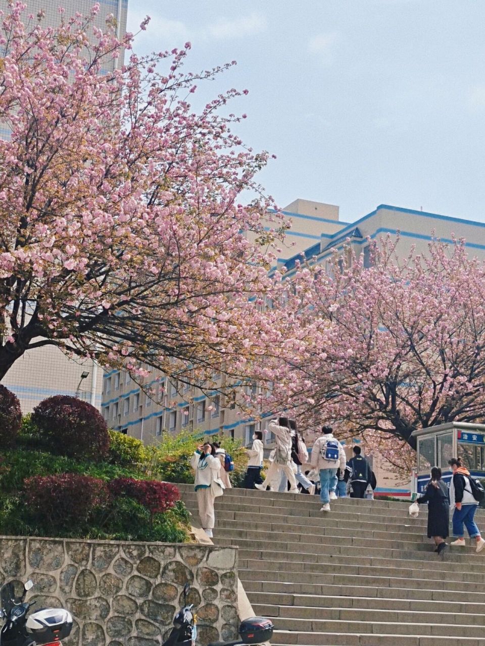 吉首大学张家界校区的春夏秋冬   每天能看看景色也挺满足的.