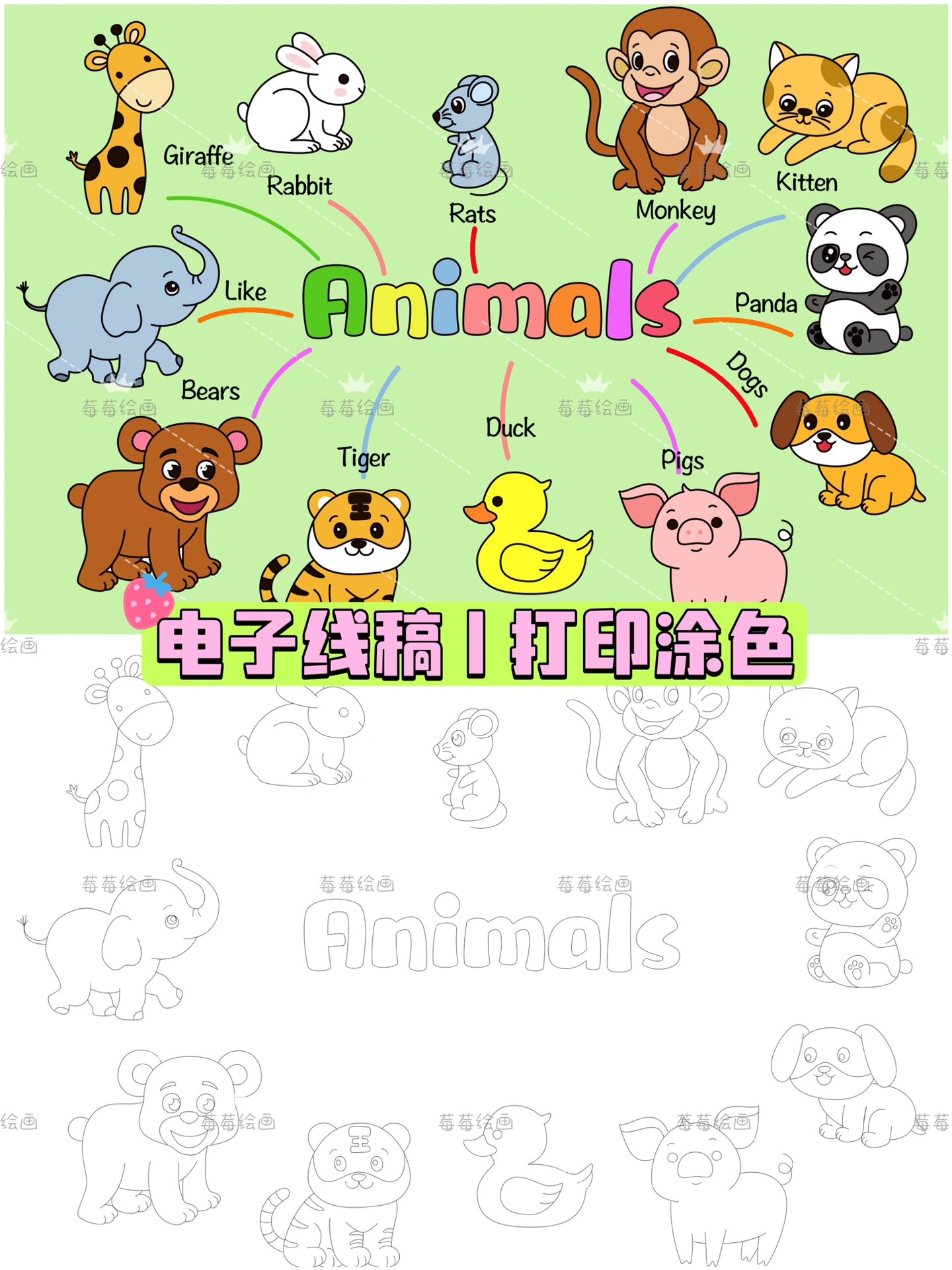 动物animals三年级英语思维导图手抄报绘画