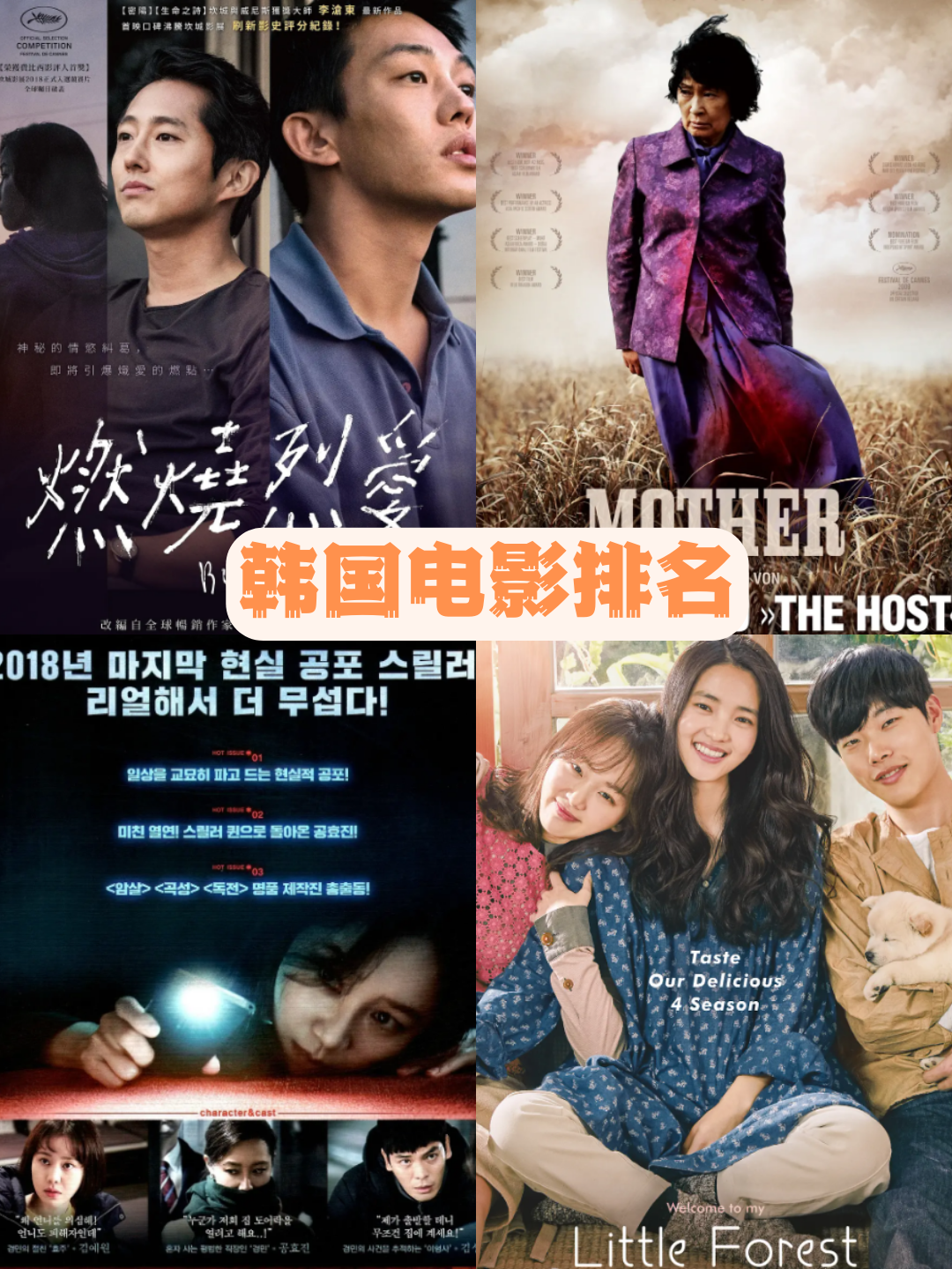 韩国电影排名 大家好,今天我要来给大家安利一些可能你们还没听过的