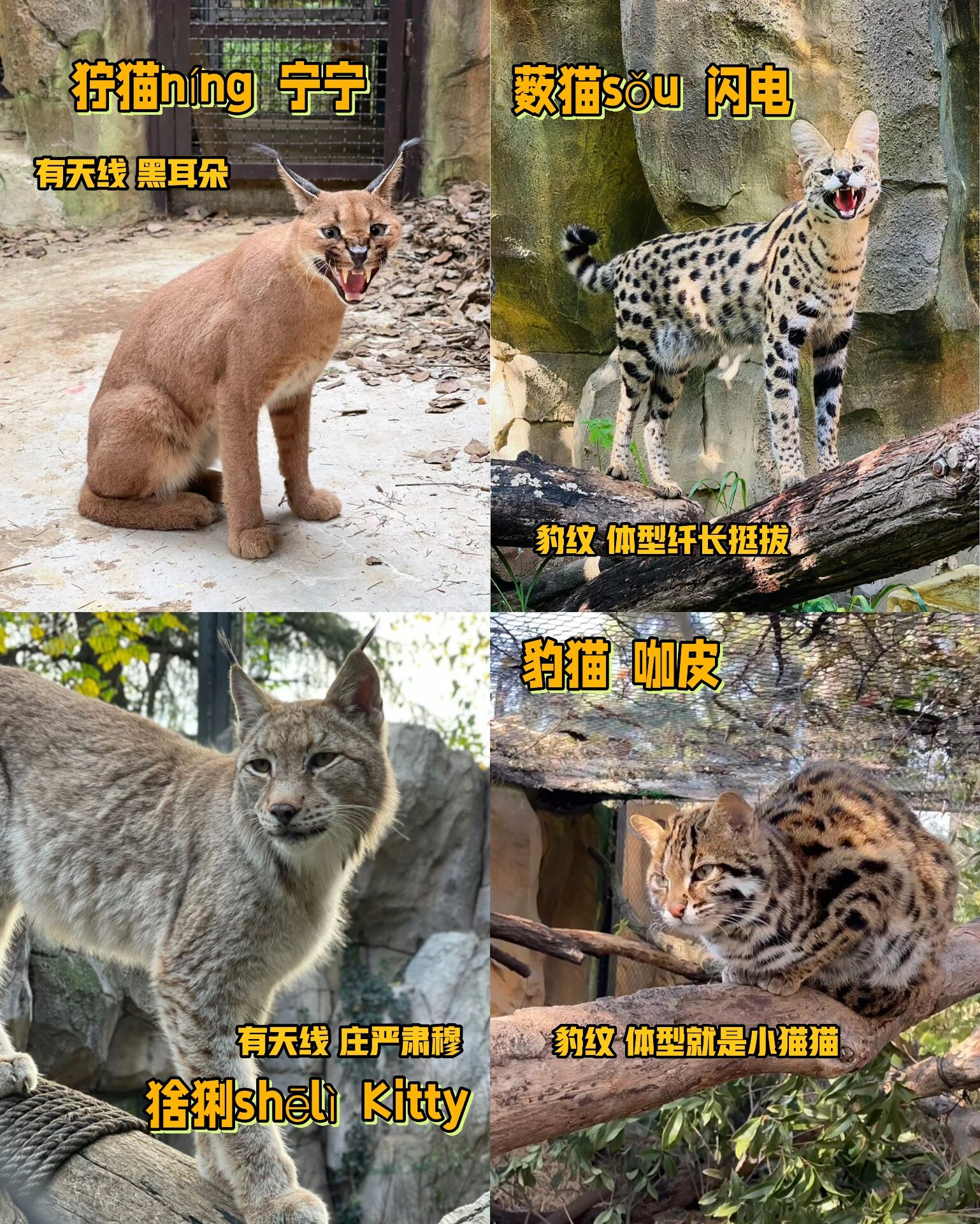 南京红山动物园