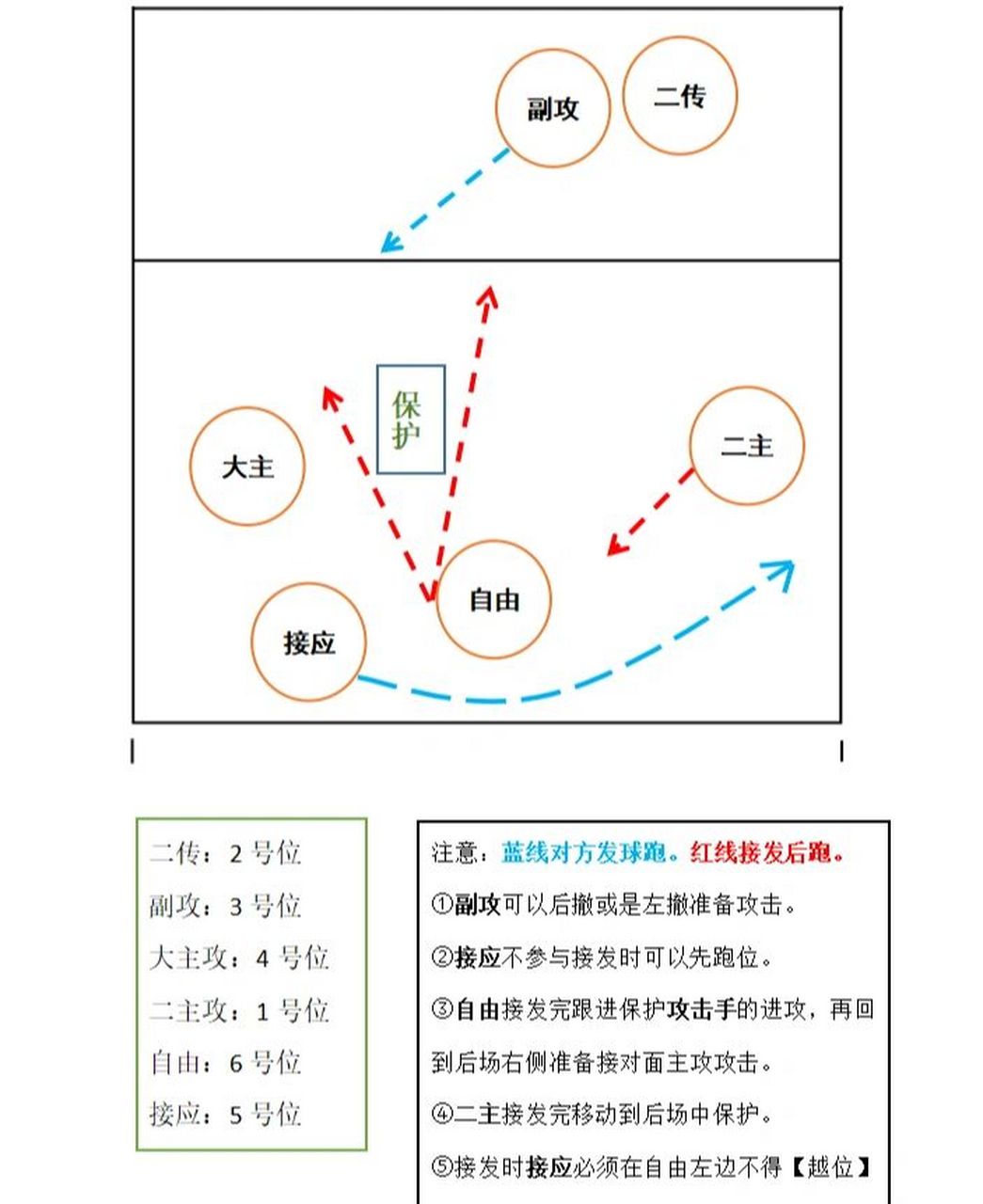 排球6人位置介绍图解图片