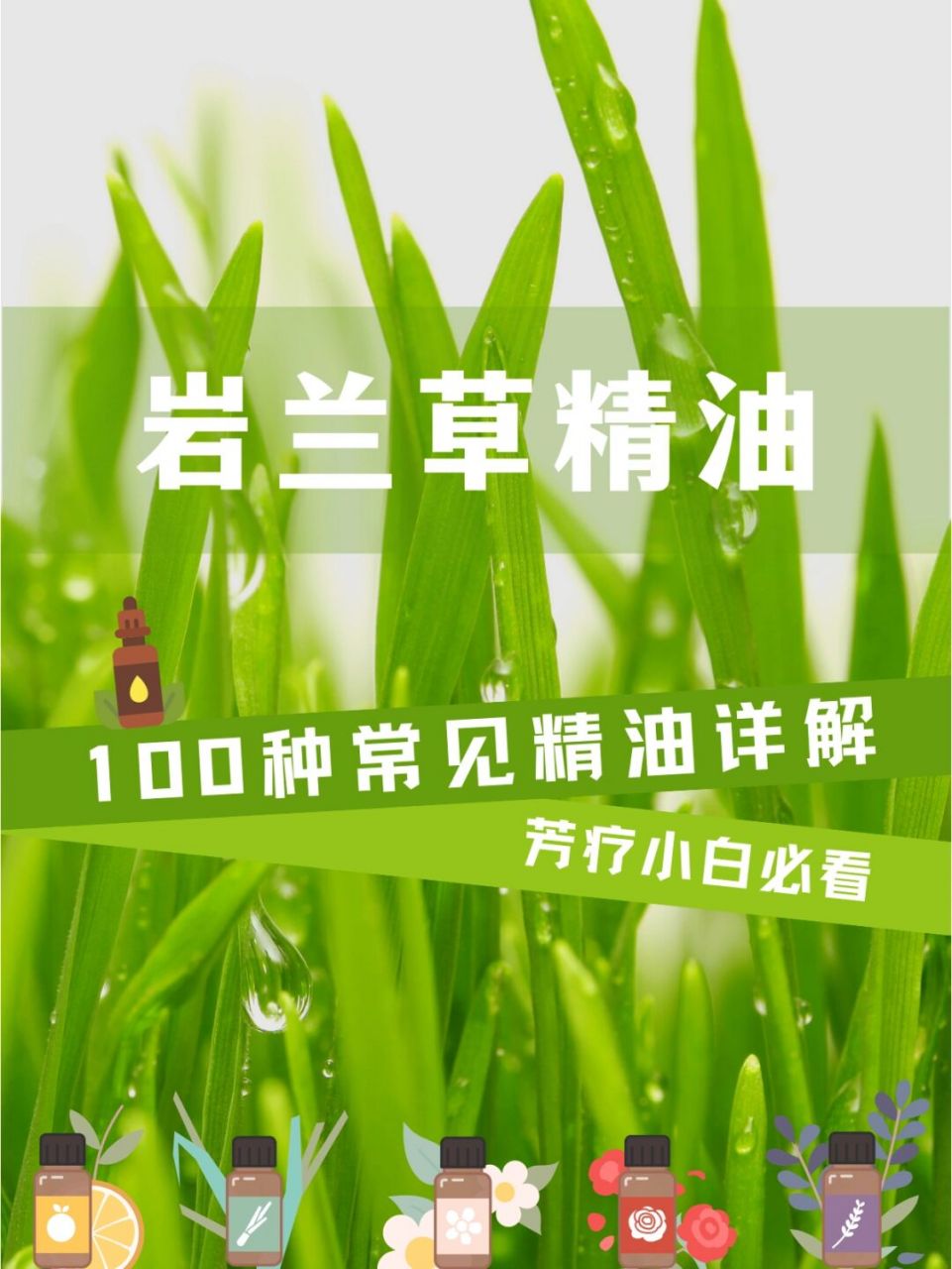 招财开运岩兰草精油,来自大地深处的力量 9797岩兰草精油有镇静
