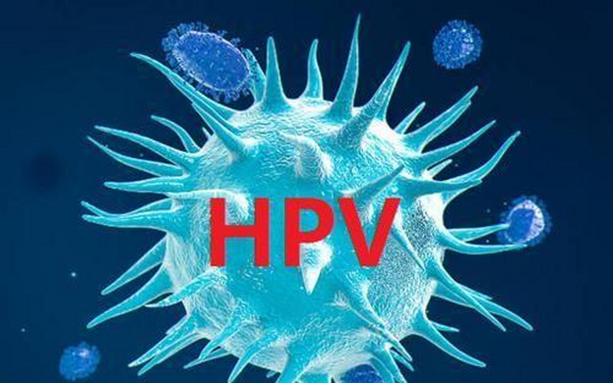 hpv照片病毒图片