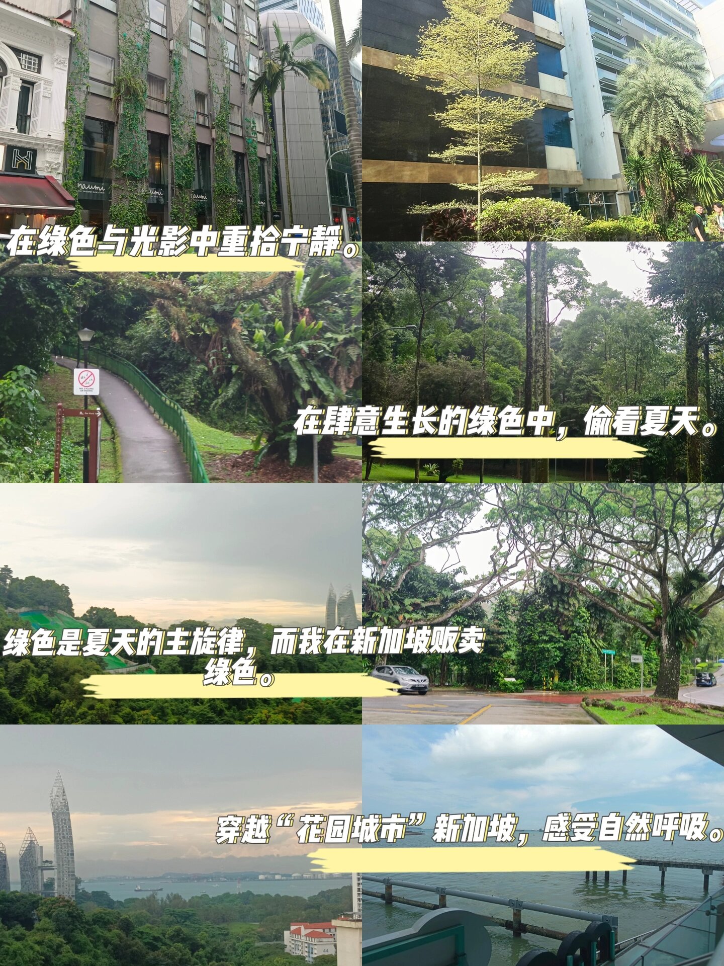 旅行文案|在这个永远是夏天的国家—新加坡