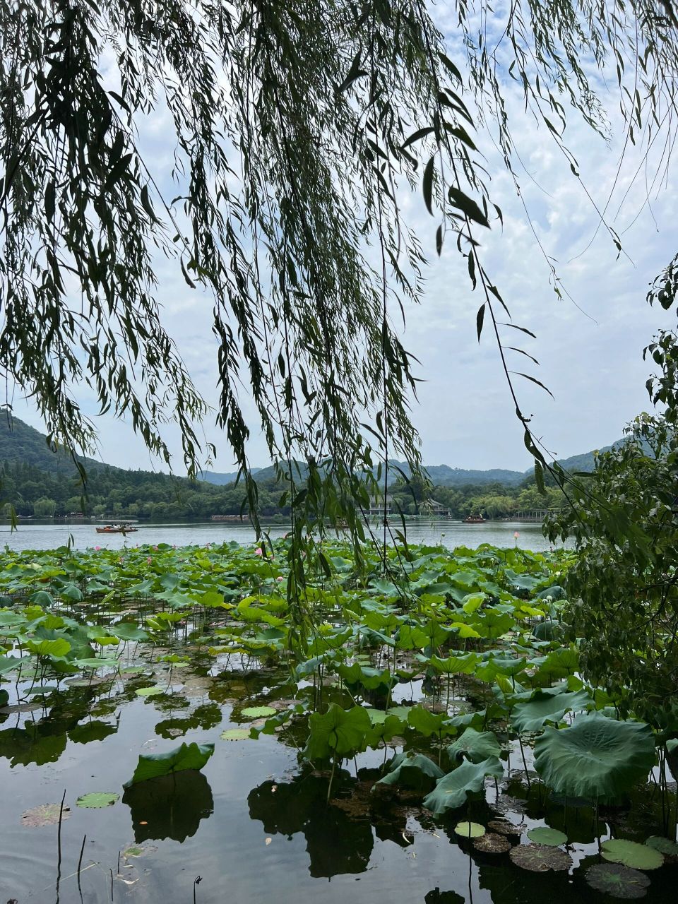 杭州|西湖悠闲一日游 楼外楼吃饭攻略 我们自由行行程第二天一整天都
