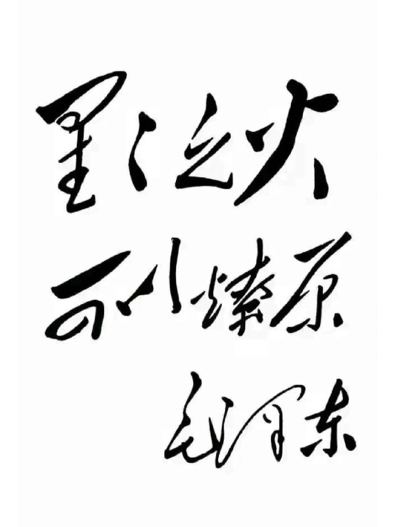第一幅书法作品内容为"星星之火,可以燎原