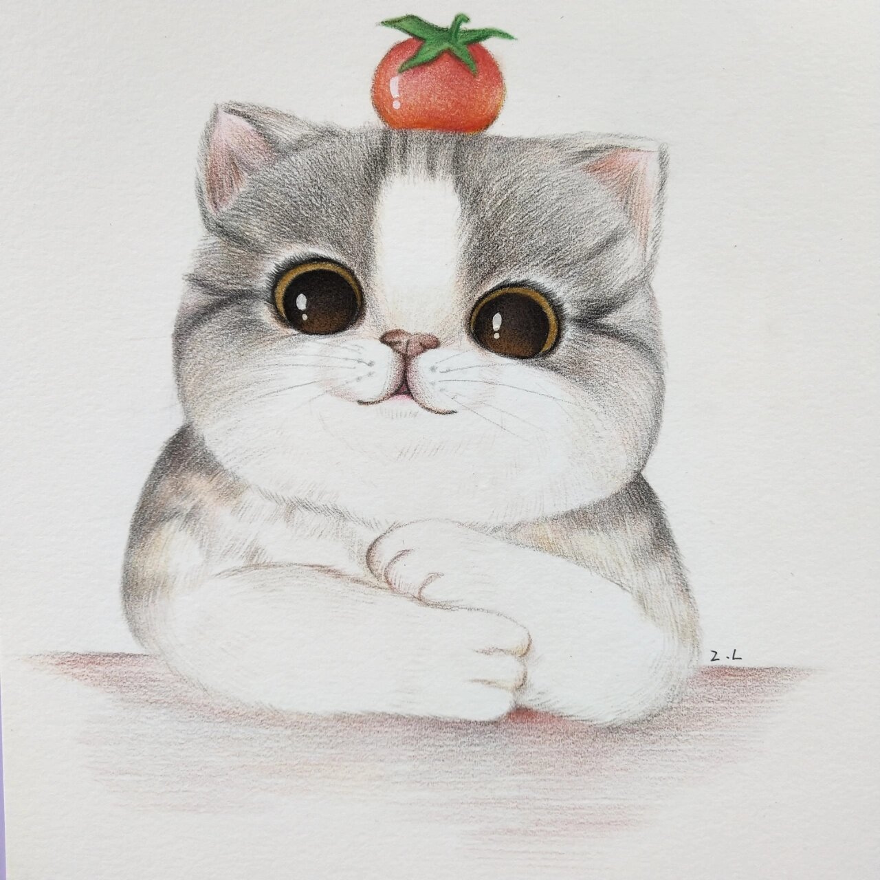 胖猫咪🐱步骤图来啦~🎨彩铅 超爱这个可爱滴表情呀